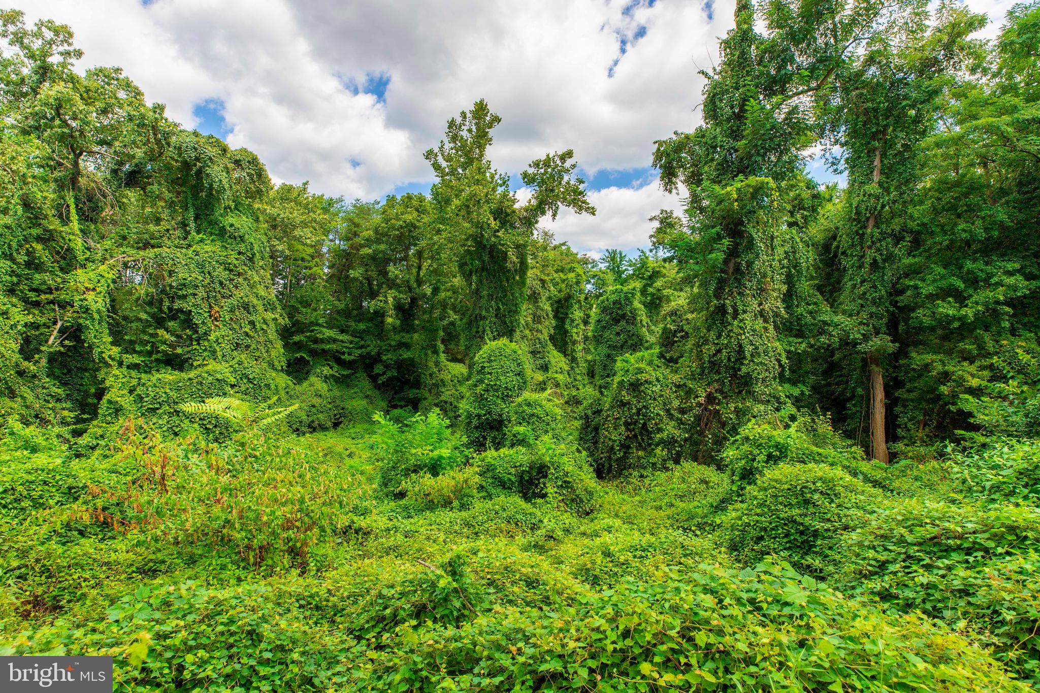 PARKLAWN - Residential