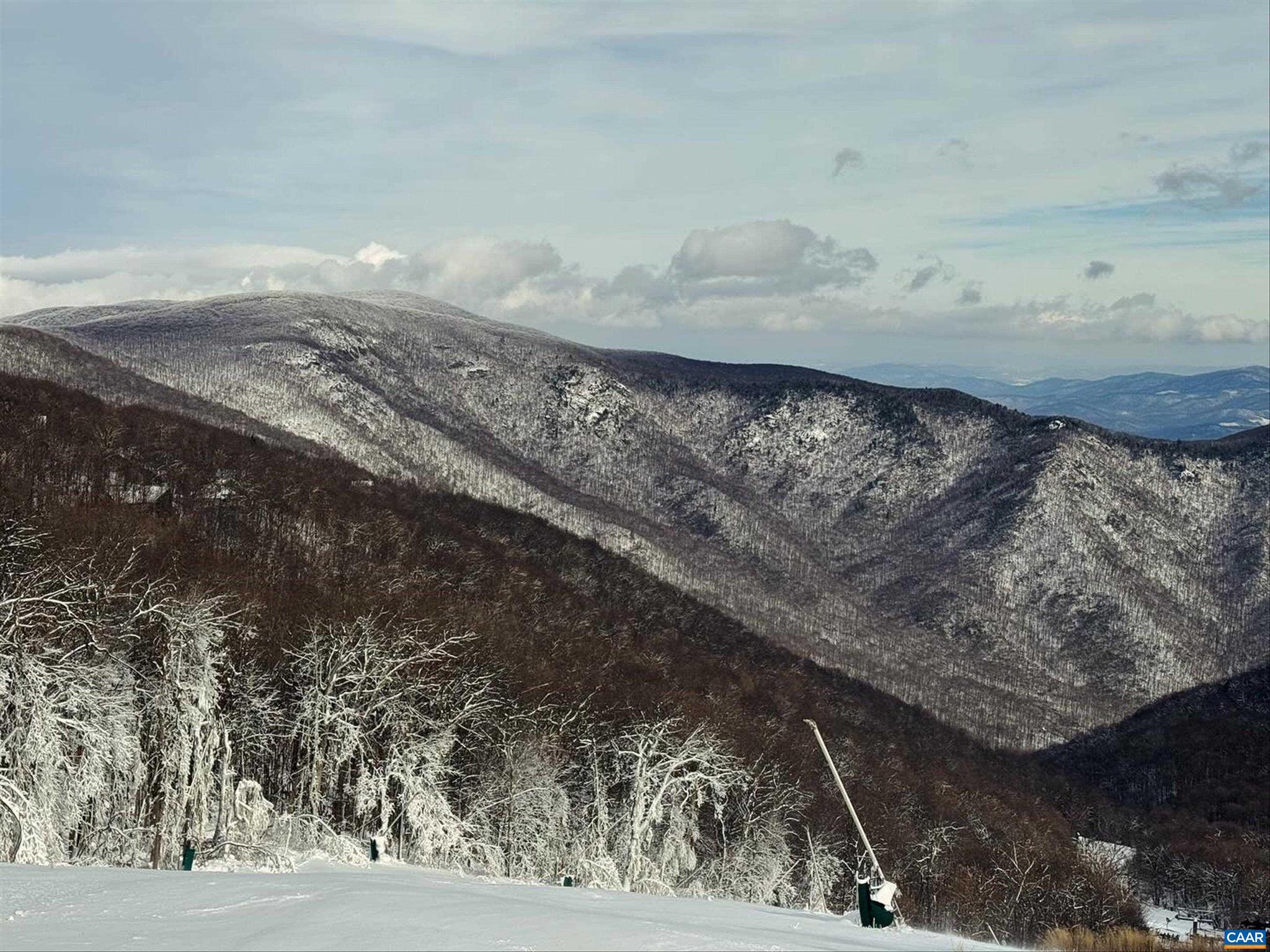 WINTERGREEN RESORT - Residential