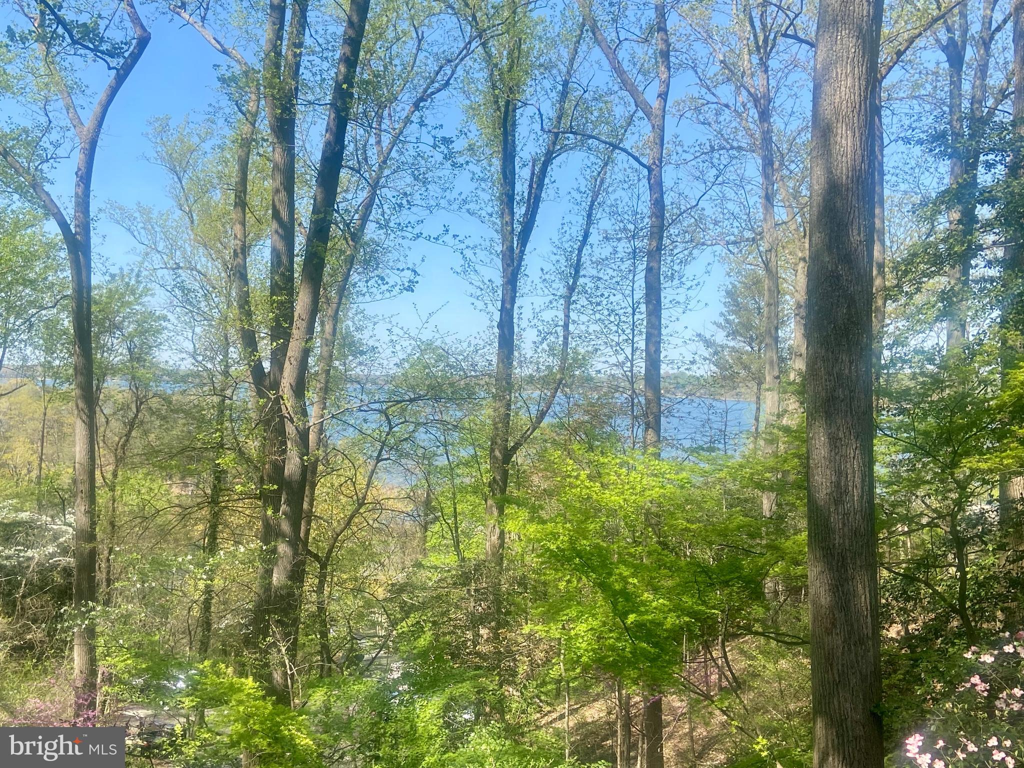 SHERWOOD FOREST - Residential