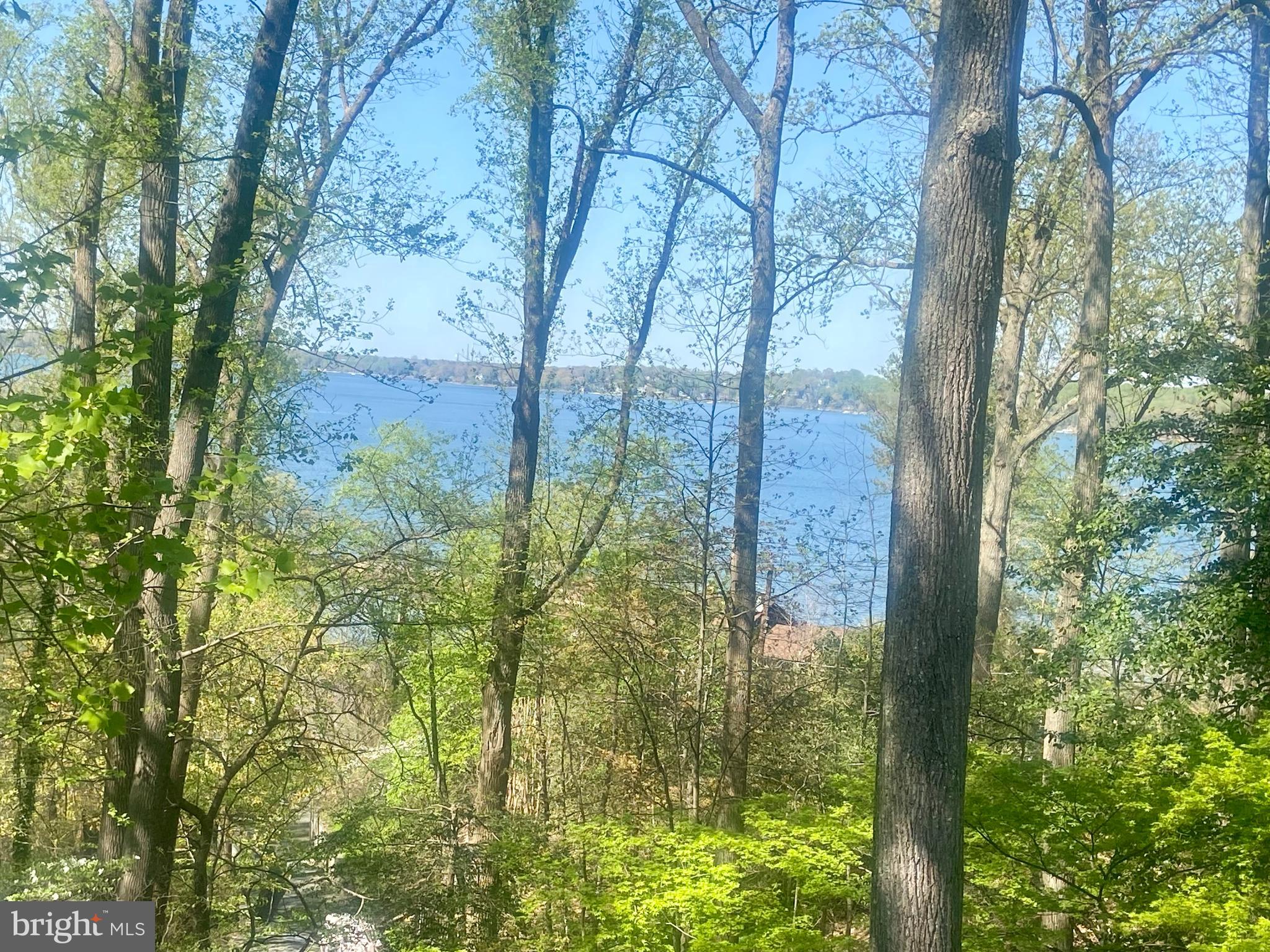 SHERWOOD FOREST - Residential