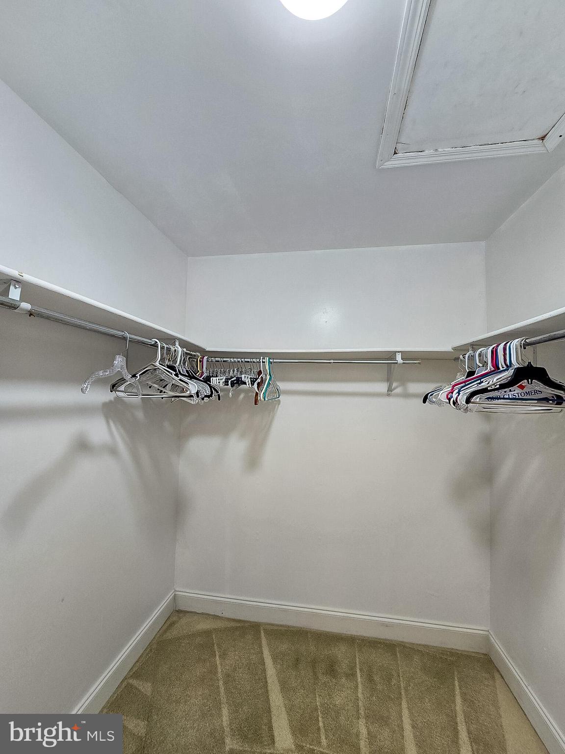 CONCORDIA - Residential Lease