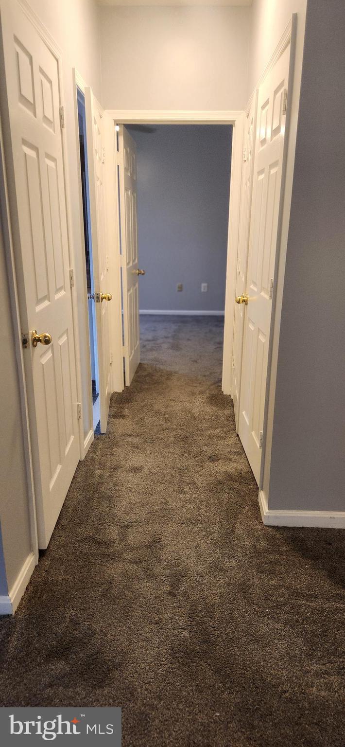 3523 PINEY WOODS PLACE G101