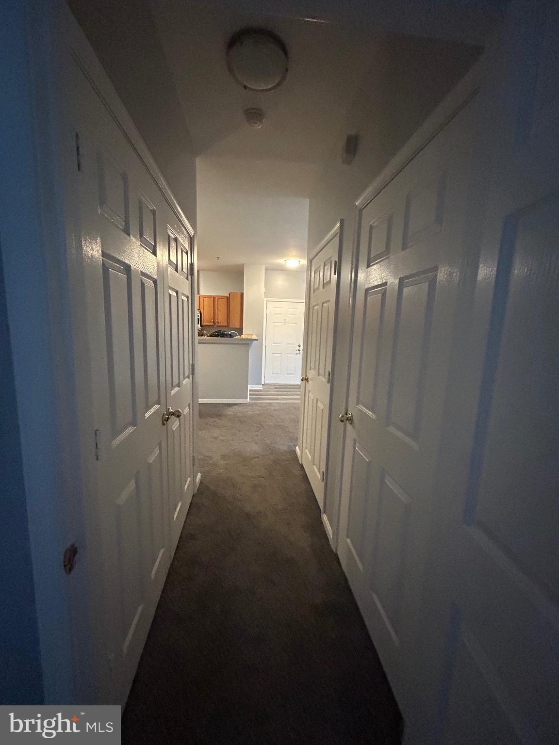 3523 PINEY WOODS PLACE G101