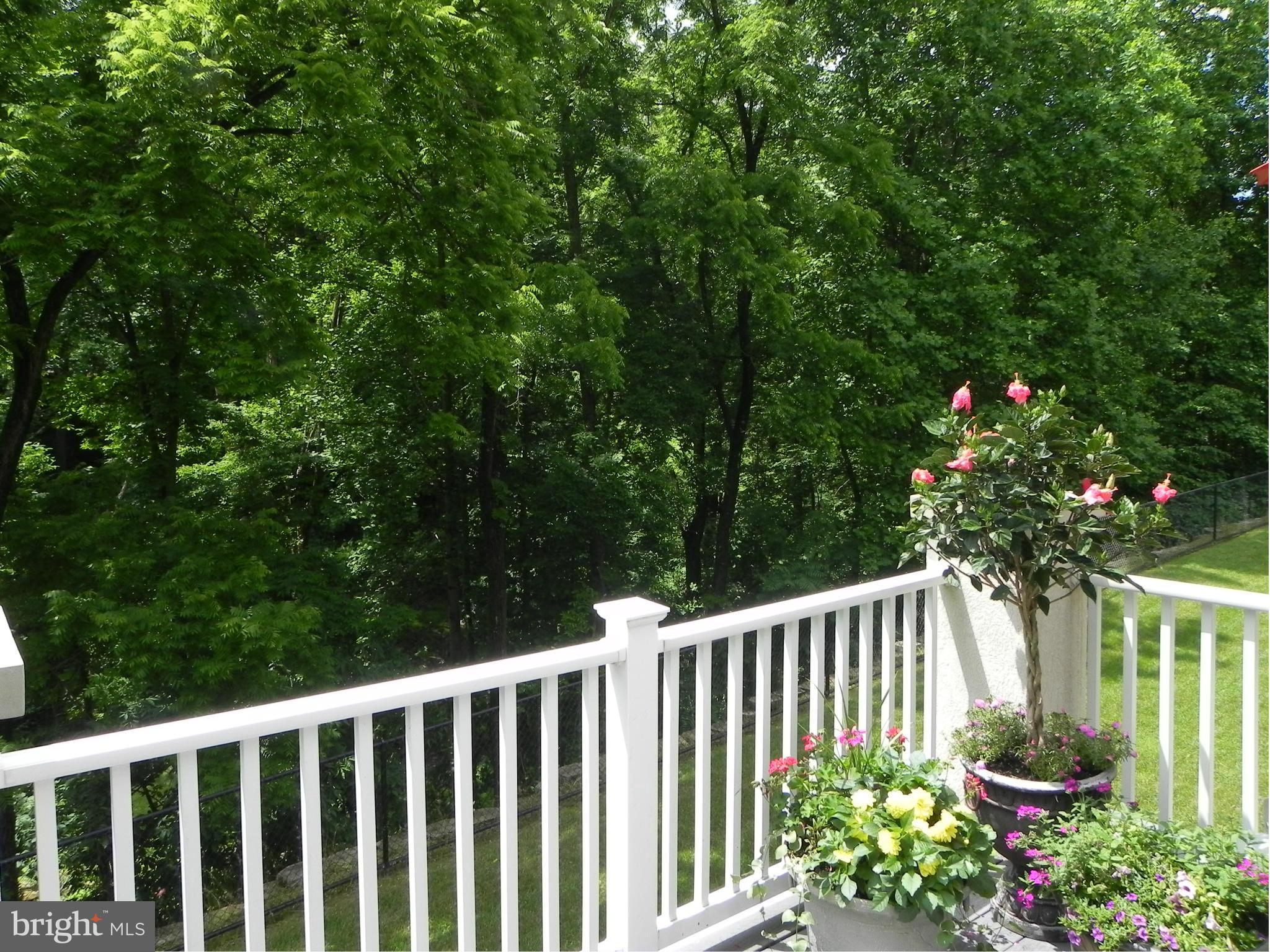 ROCKLAND RIDGE - Residential