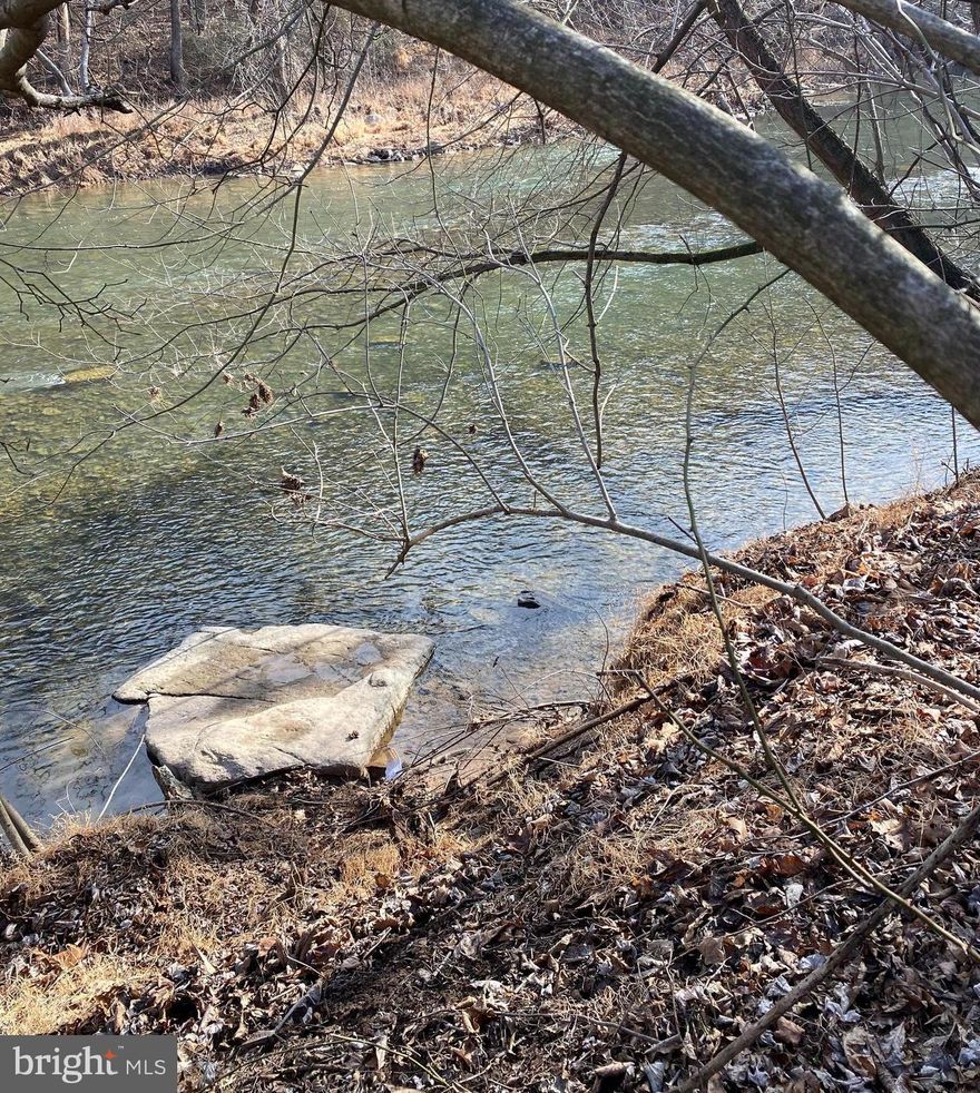 Beautiful 2.04 acre waterfront lot on the Cacapon River.  Huge Pine trees line the front of this mostly level land lot.  182 feet of river front property. Property is located in the 100 year flood plain. It's located about 12 minutes from Berkeley Springs.