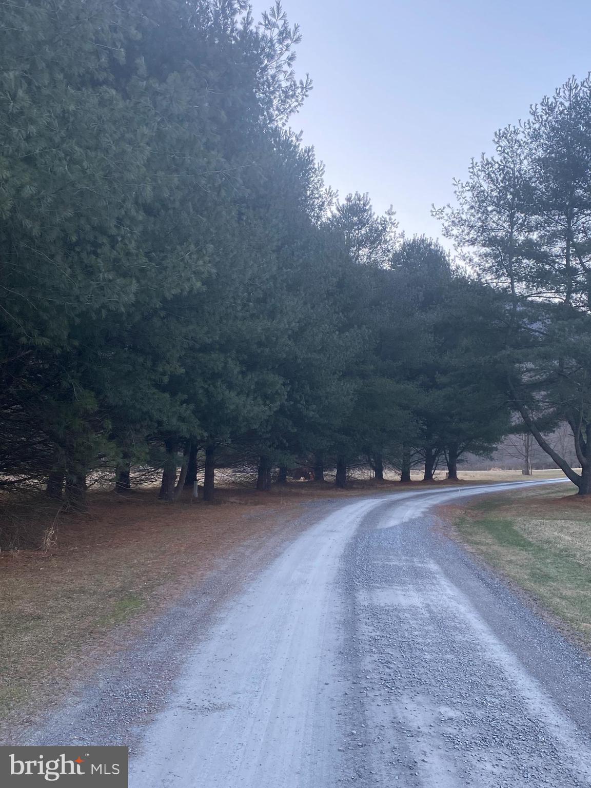 CACAPON RIVER MEADOWS - Land