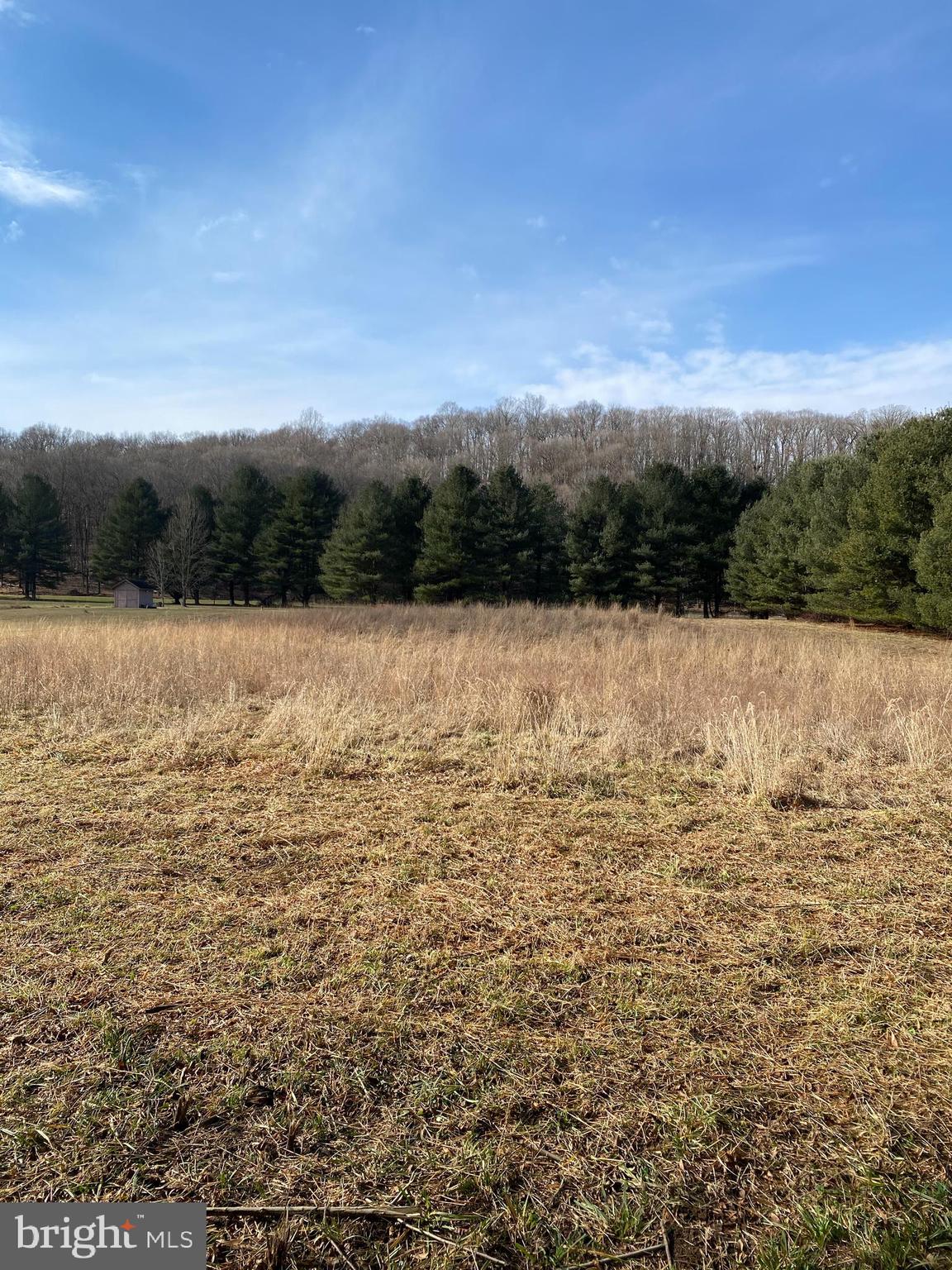 CACAPON RIVER MEADOWS - Land