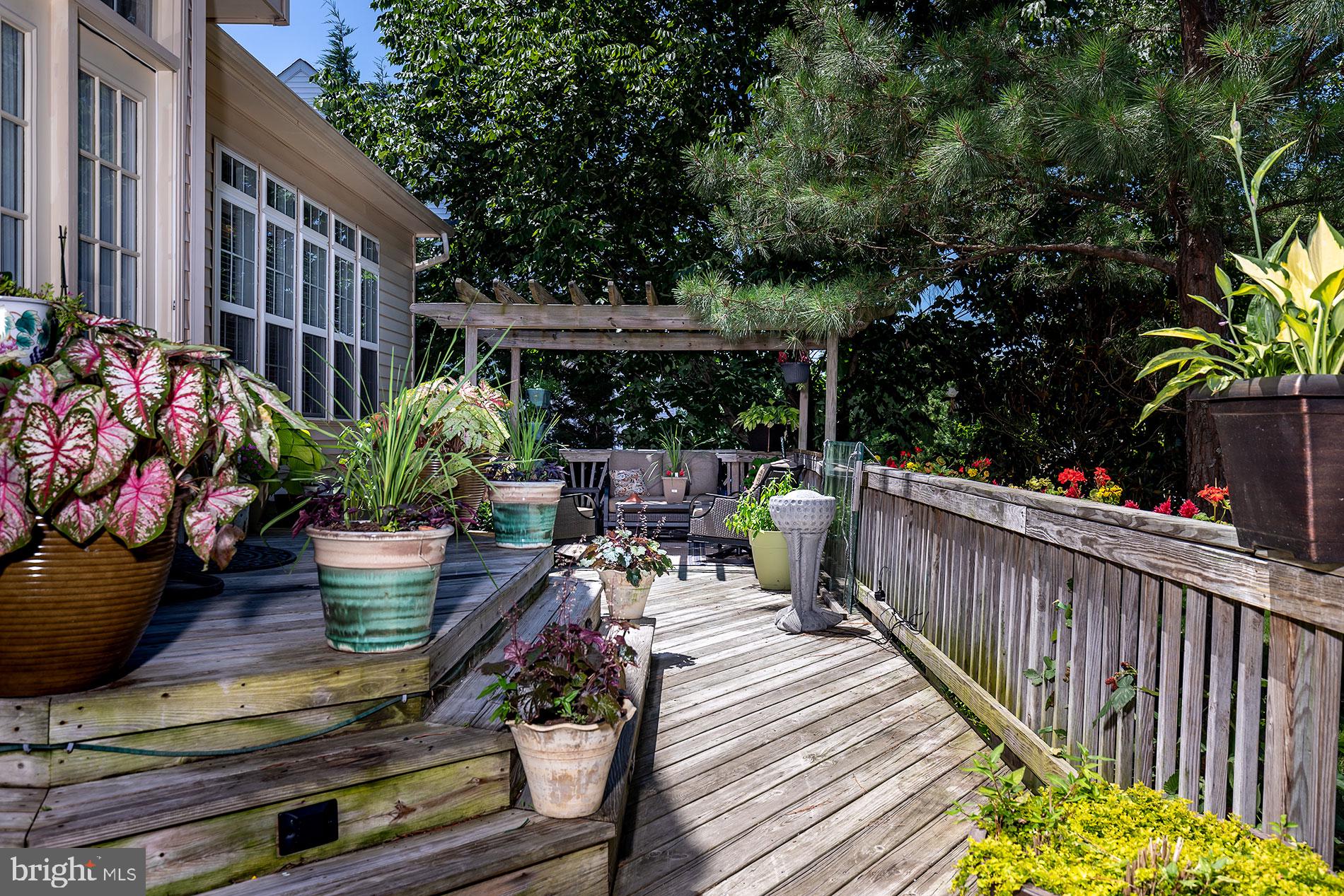 BRIDLE RIDGE - Residential