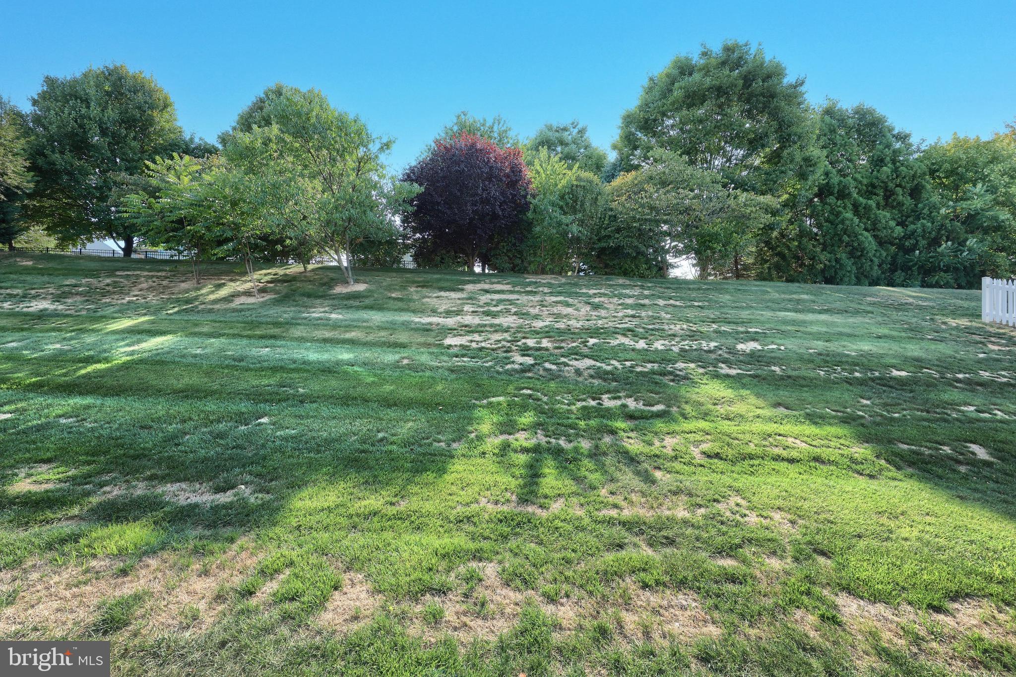 SPRINGWOOD - Residential