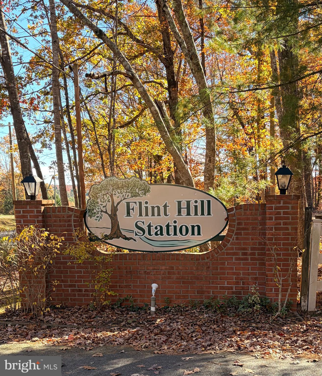 9701 FLINT HILL COURT