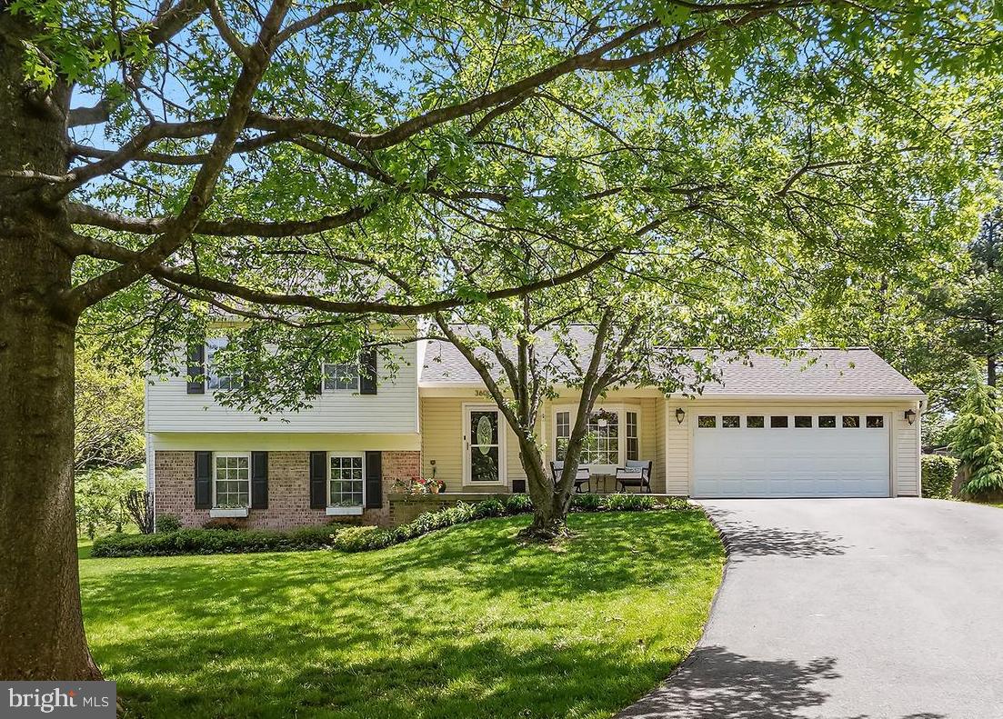 WILLIAMSBURG VILLAGE - Residential