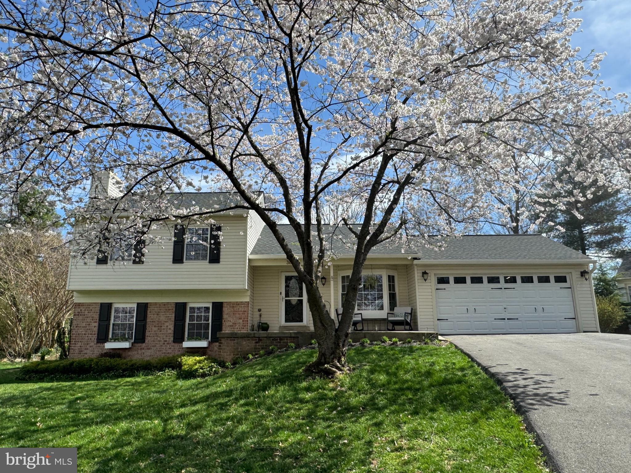 WILLIAMSBURG VILLAGE - Residential