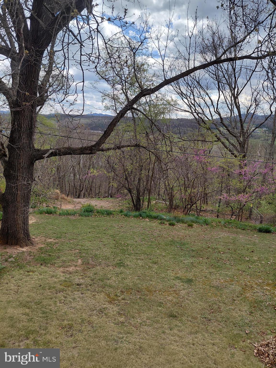 MONARCH HEIGHTS - Residential