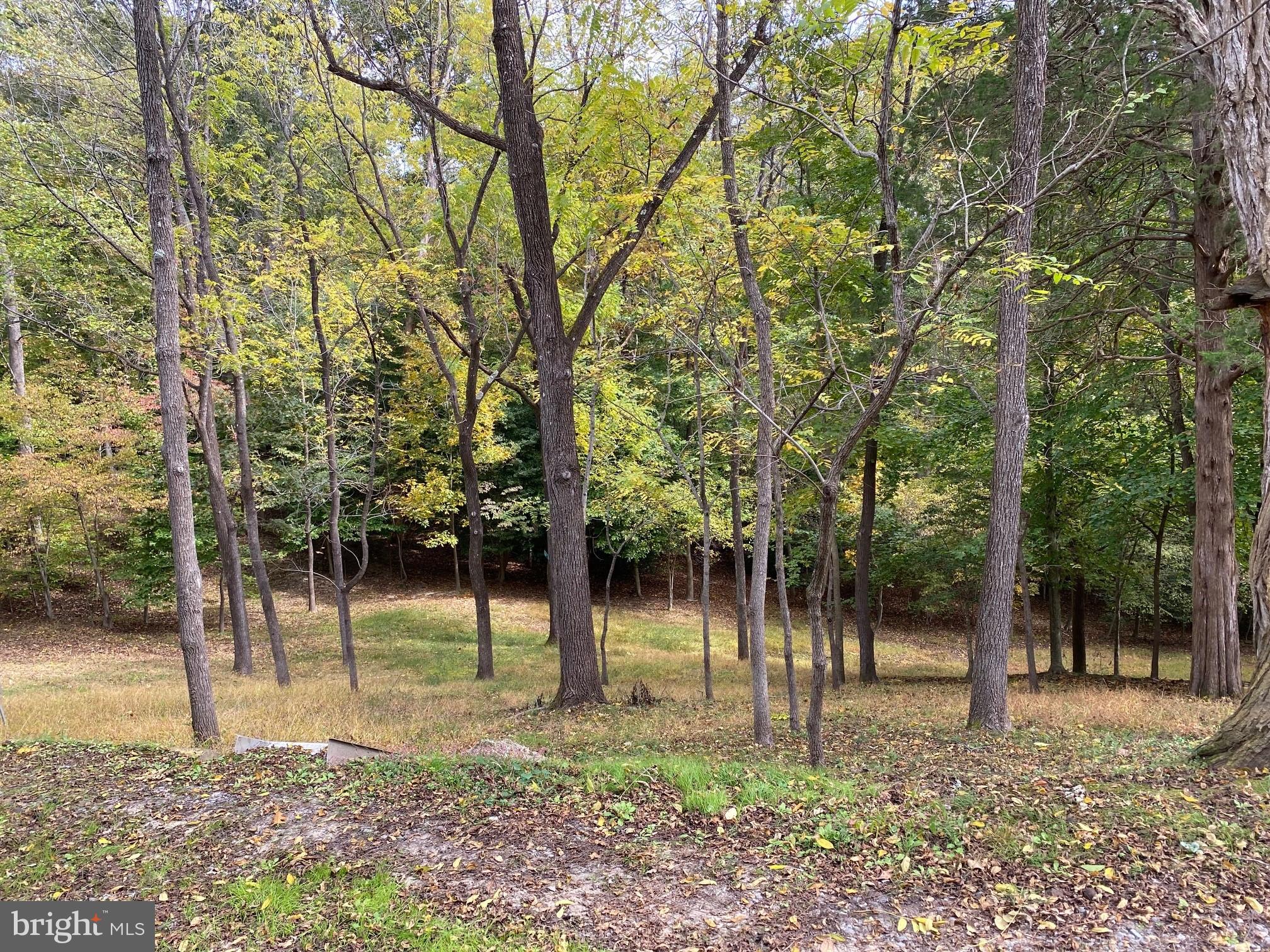 POTOMAC DIST - Residential