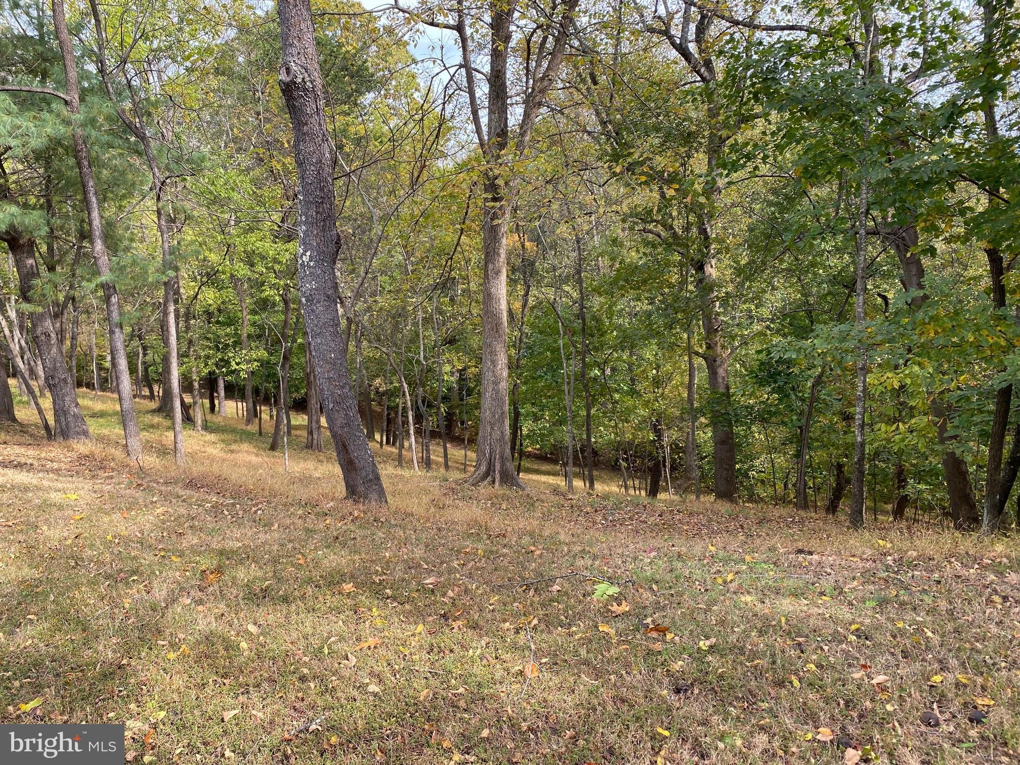 POTOMAC DIST - Residential