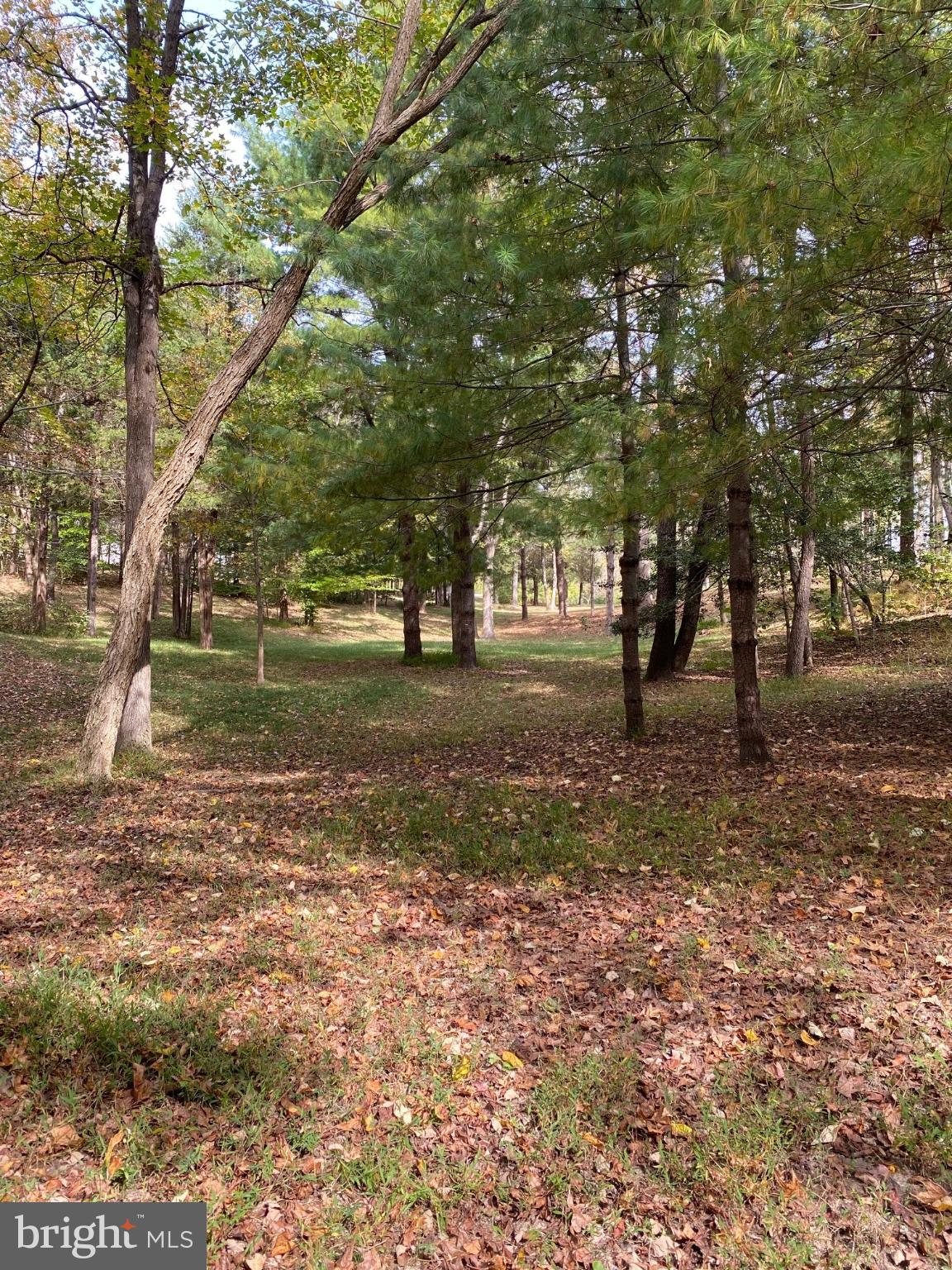 POTOMAC DIST - Residential