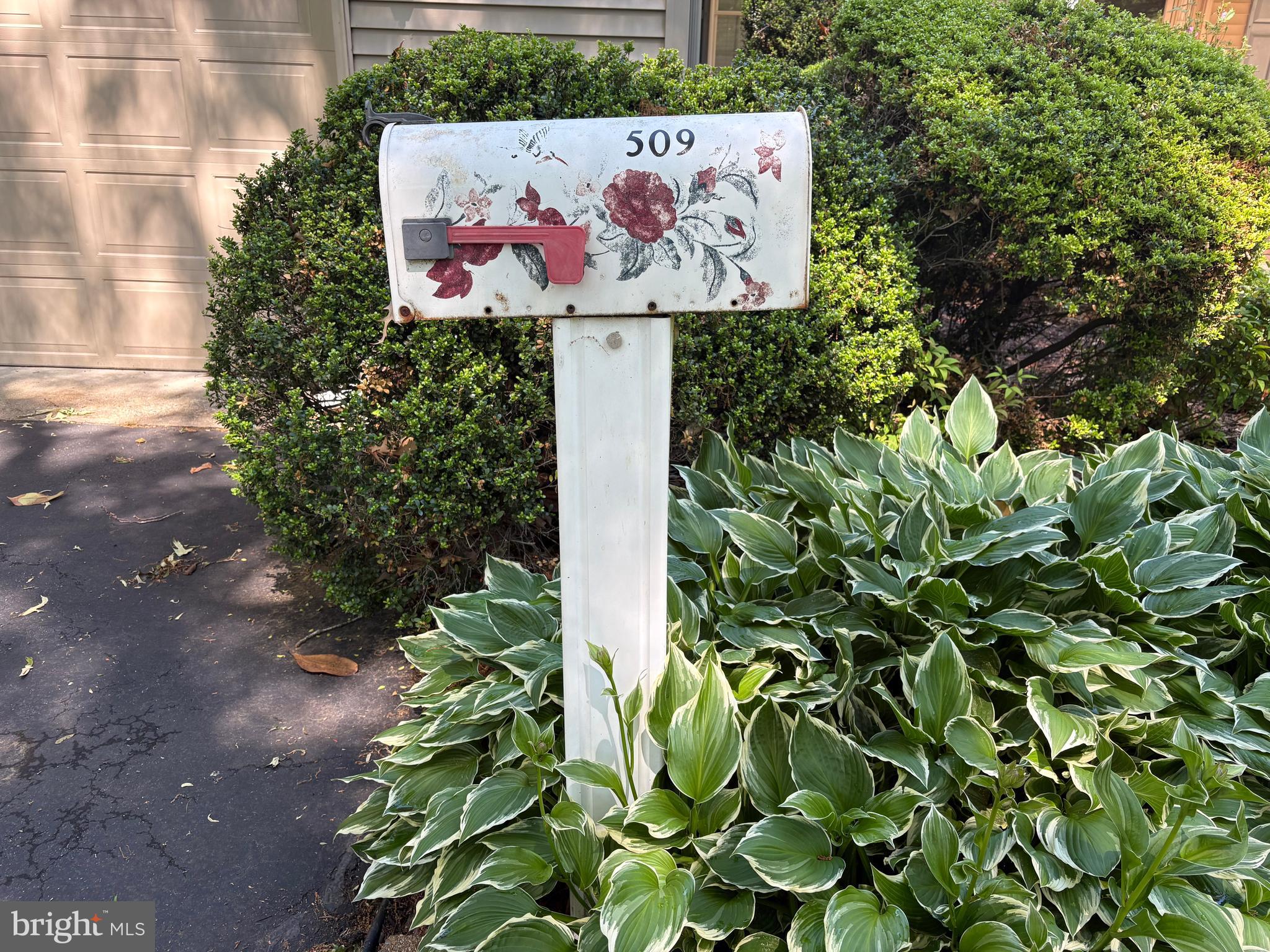 509 DOGWOOD DRIVE