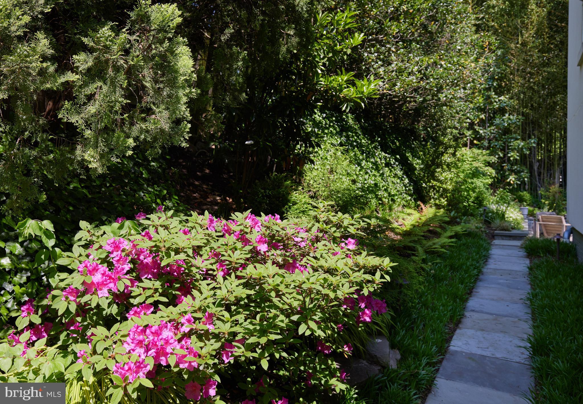 FOREST HILLS - Residential