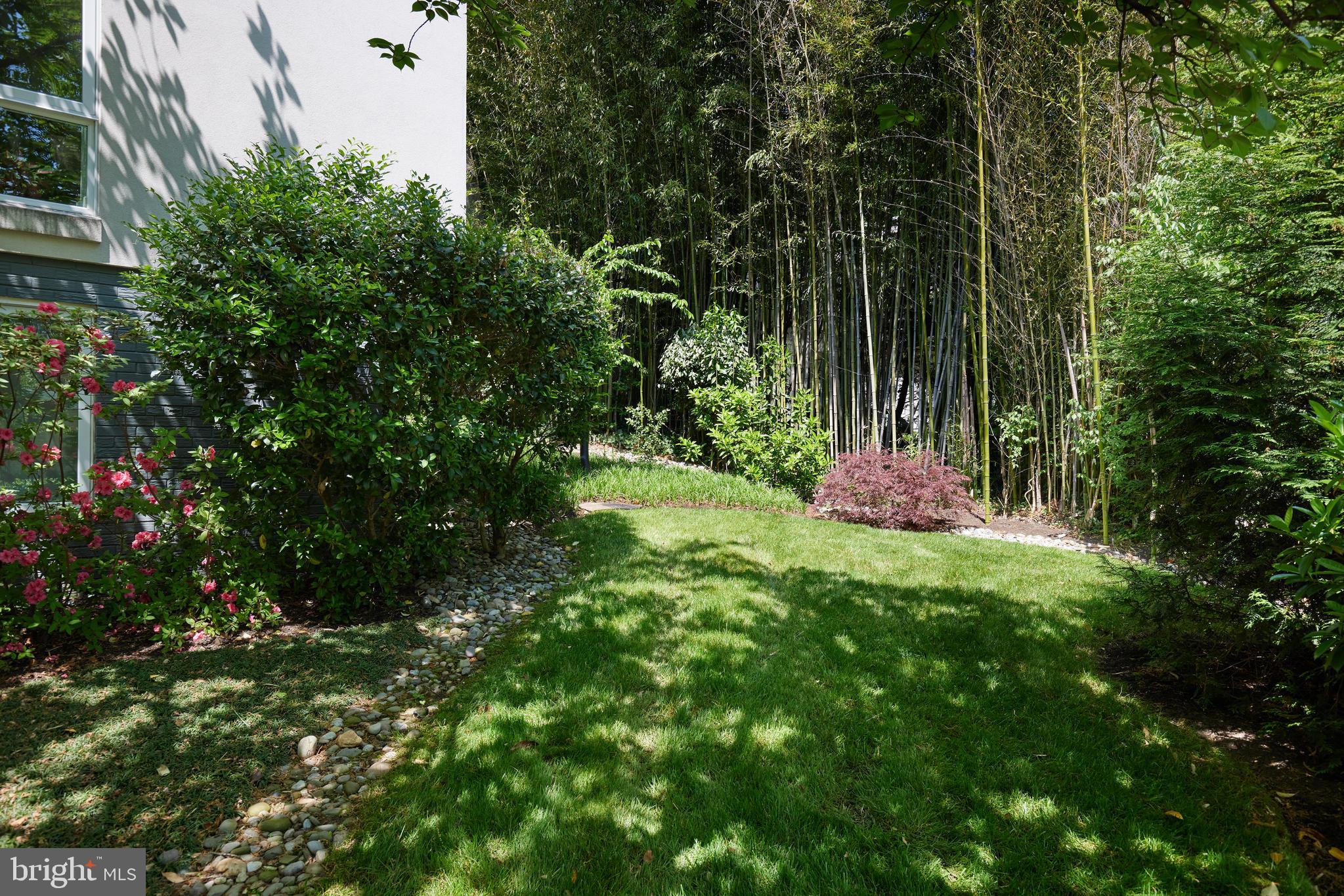 FOREST HILLS - Residential