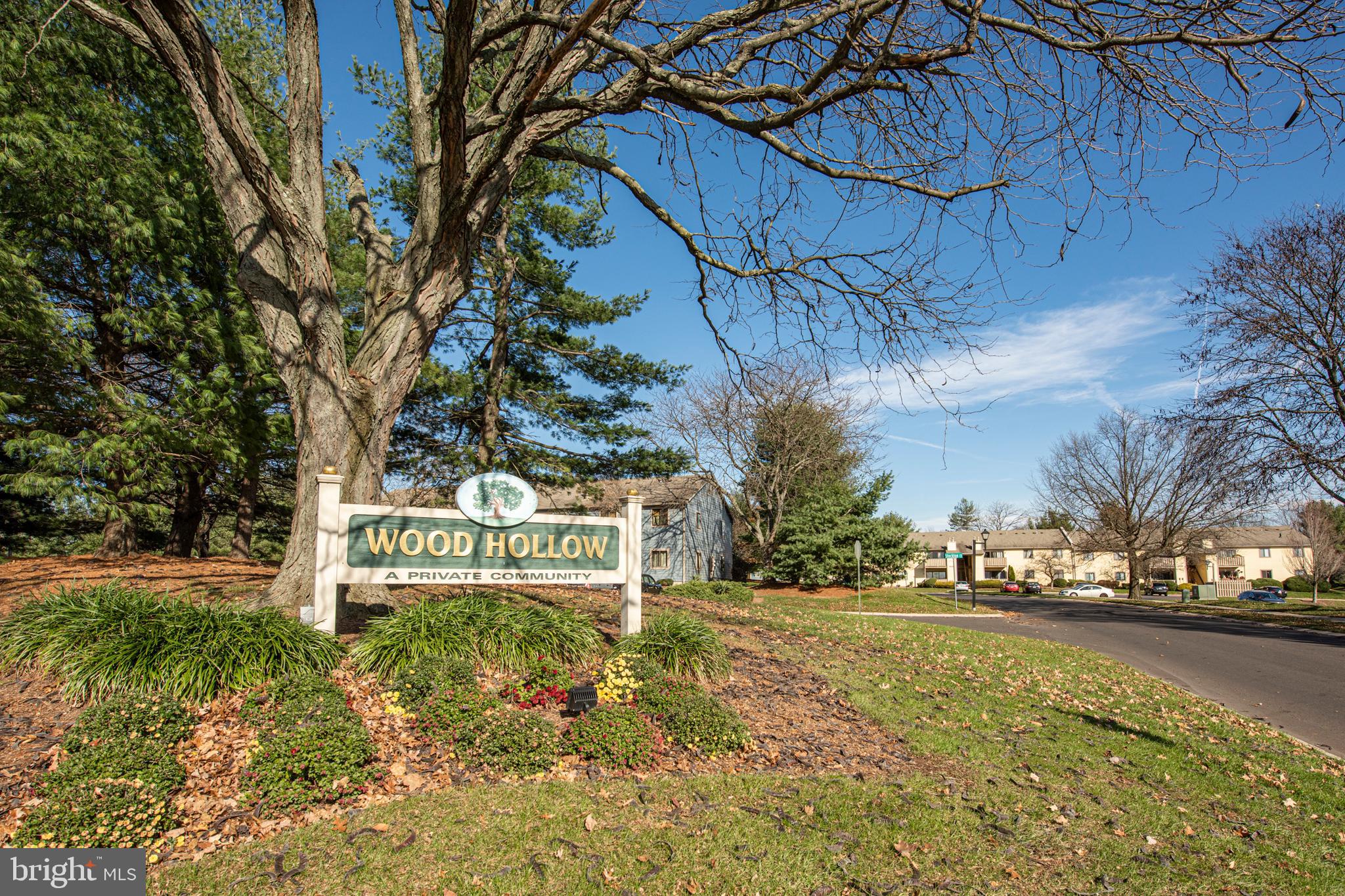 WOOD HOLLOW - Residential