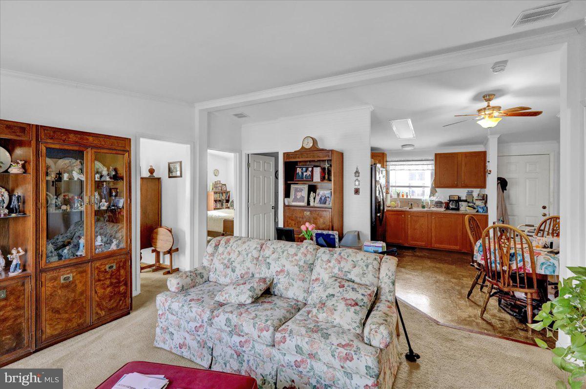 DOUGLASS VILLAGE - Residential