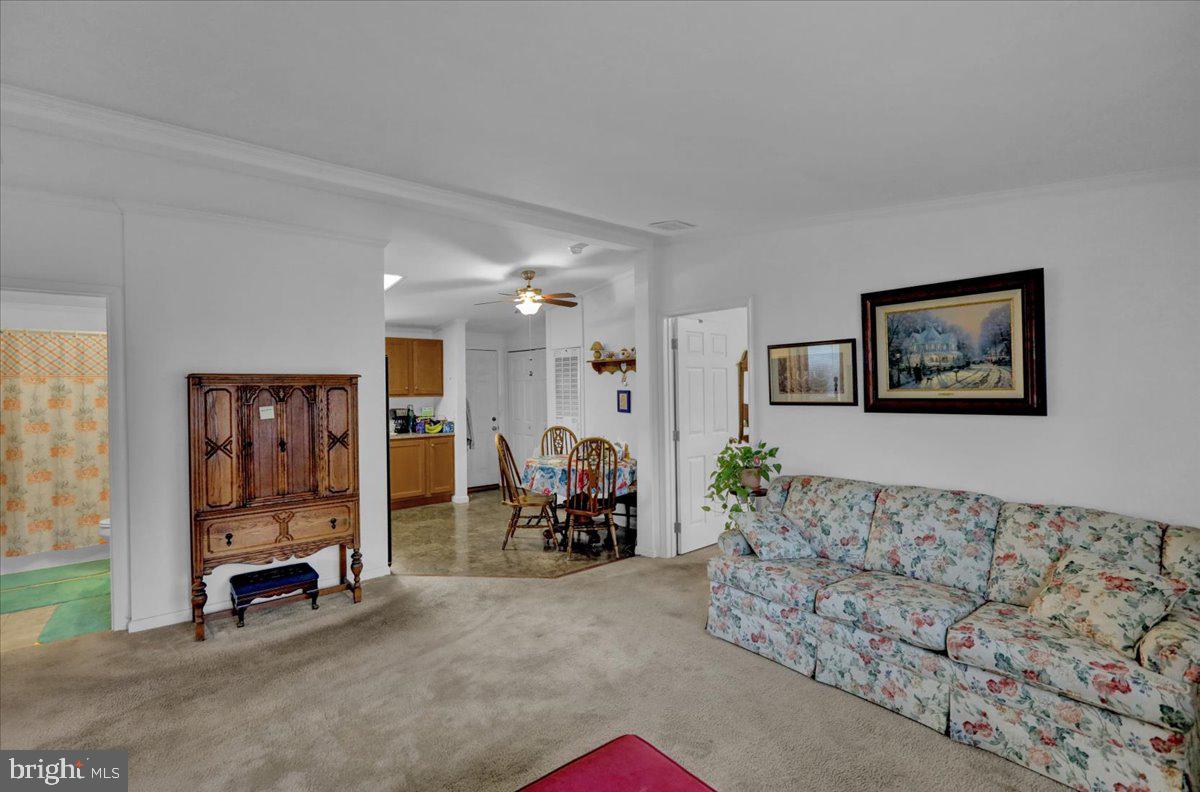 DOUGLASS VILLAGE - Residential