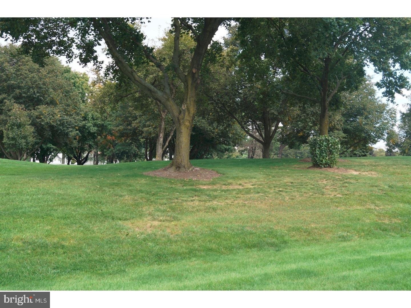 VILLAGE SHIRES - Residential