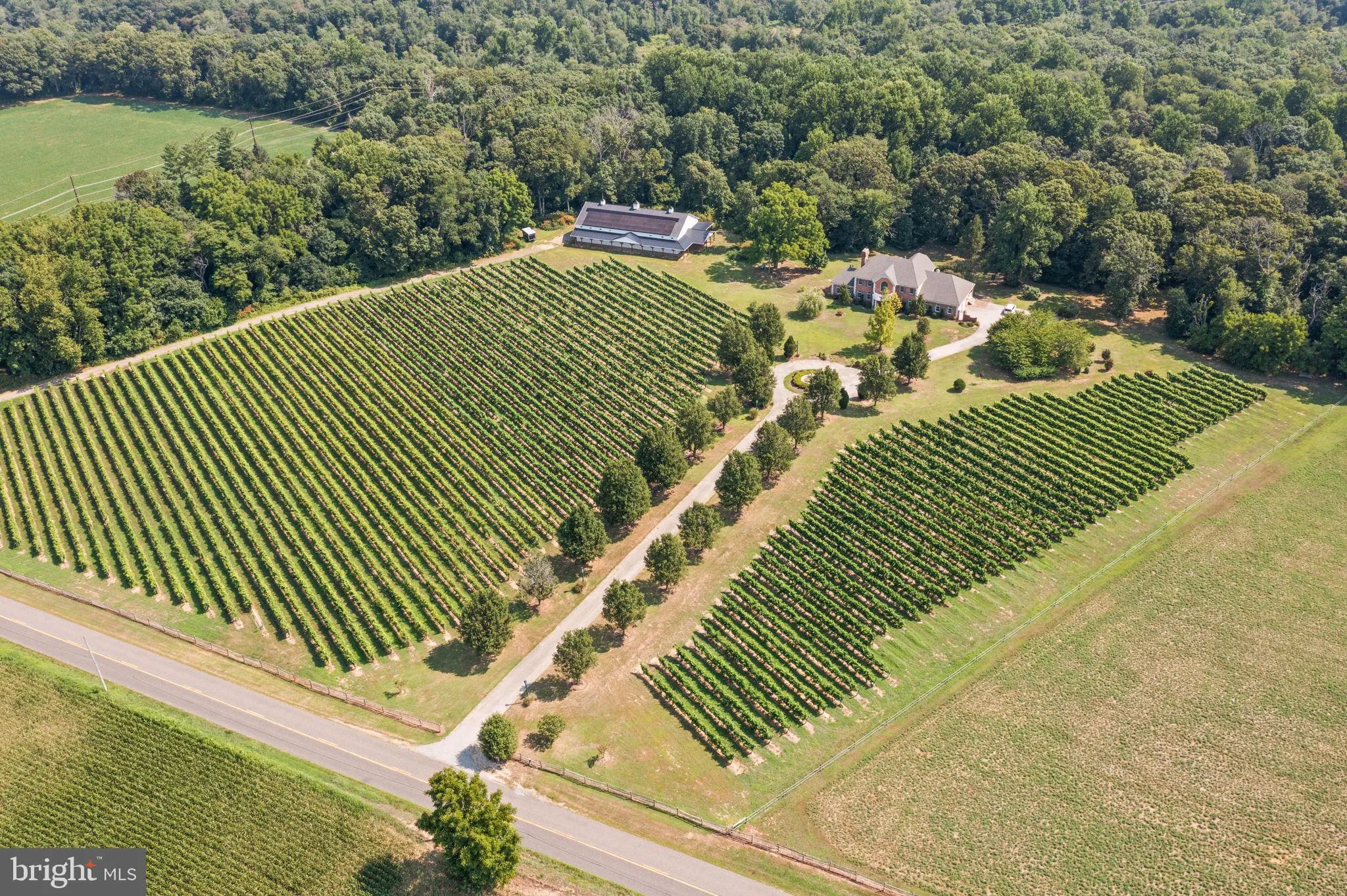 Bridgeton, New Jersey 08302, United States, 5 Bedrooms Bedrooms, ,5 BathroomsBathrooms,Residential,Contingent,49244