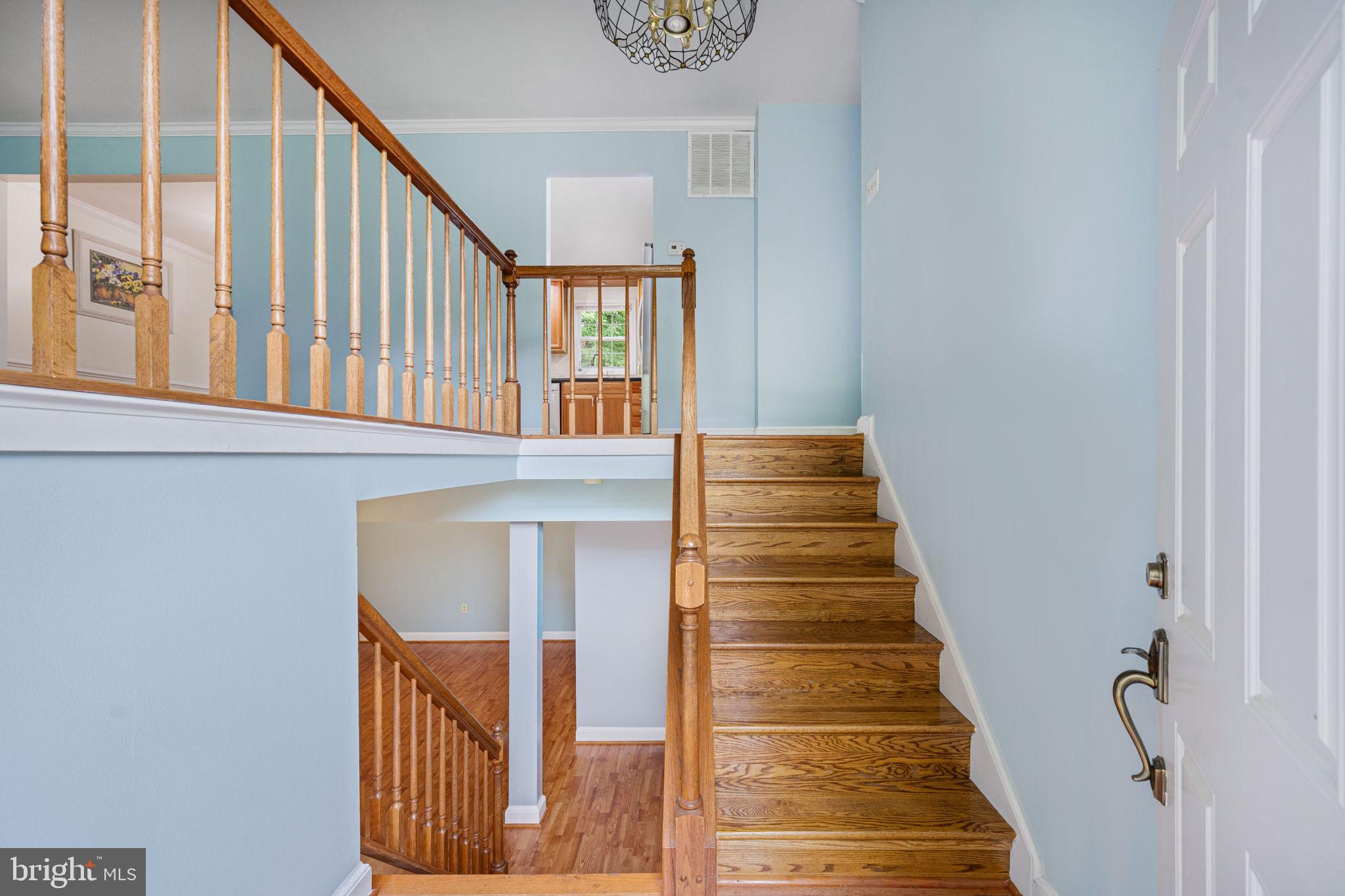 BRADLEY FOREST - Residential Lease