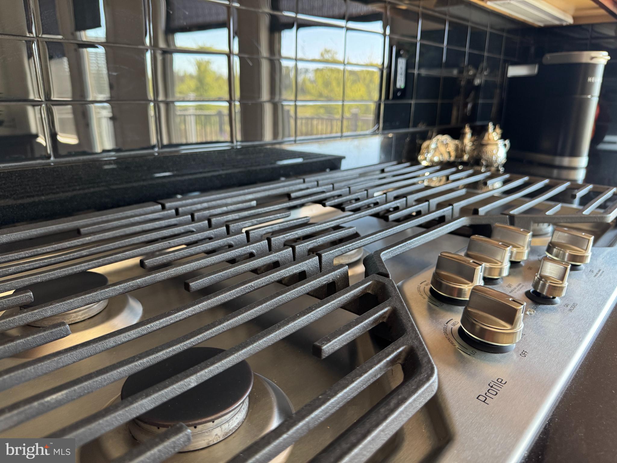 GLASCOCK FIELD AT STONE RIDGE - Residential