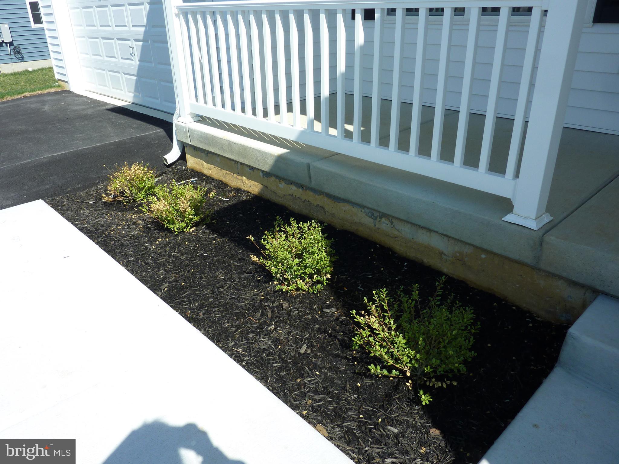 OLD COUNTRY FARMS - Residential