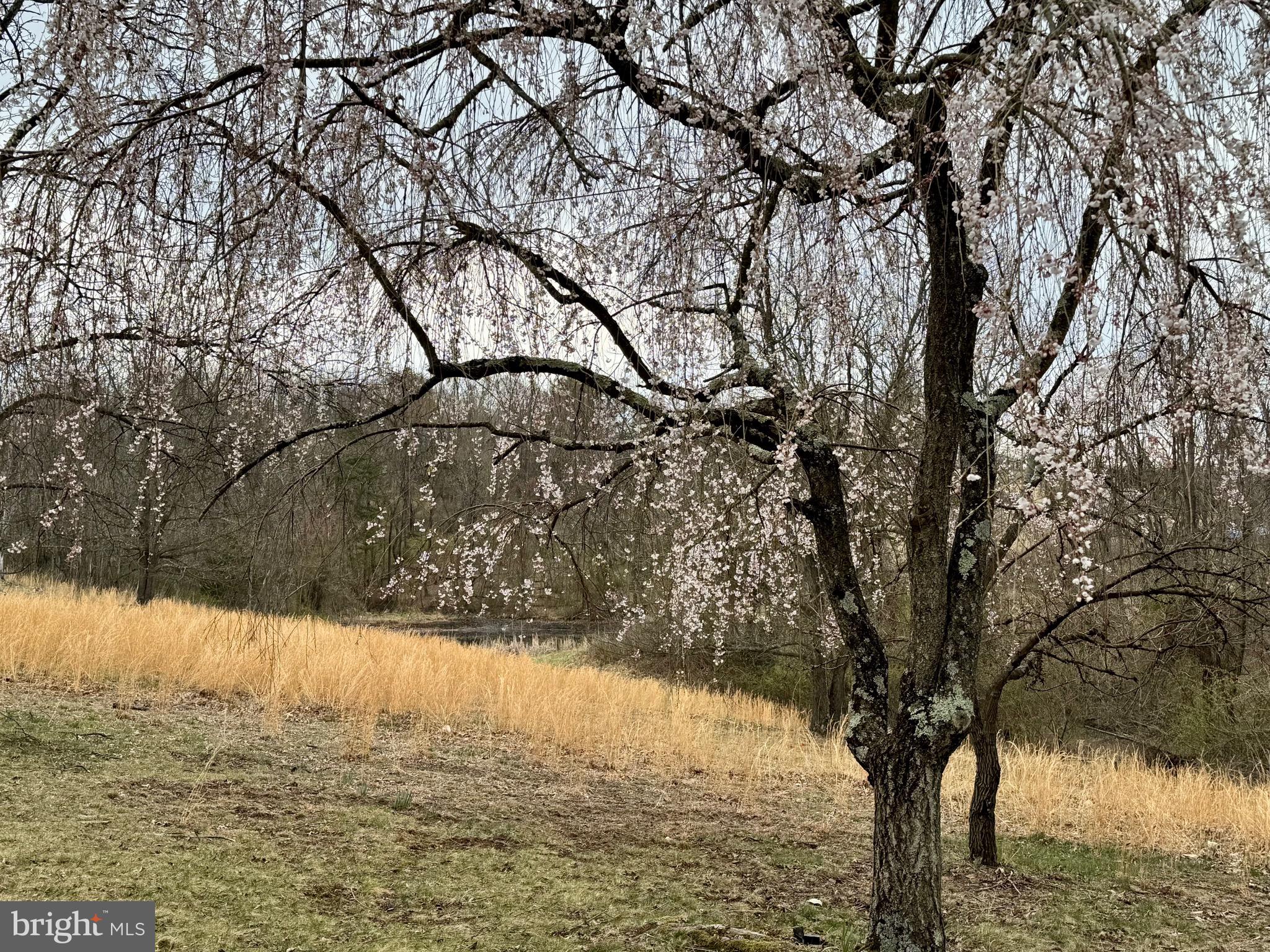 LAKEWOOD HILLS - Residential