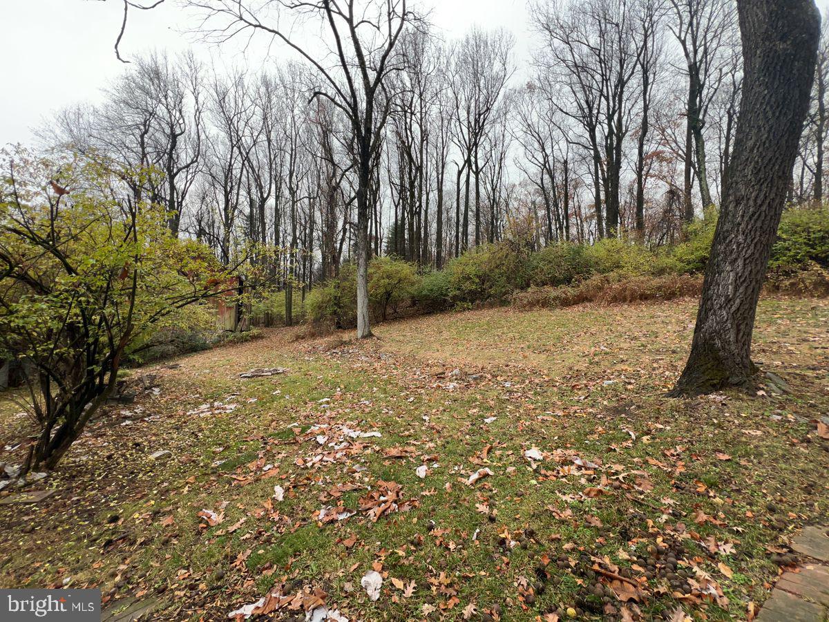 SHOOKSTOWN - Residential Lease