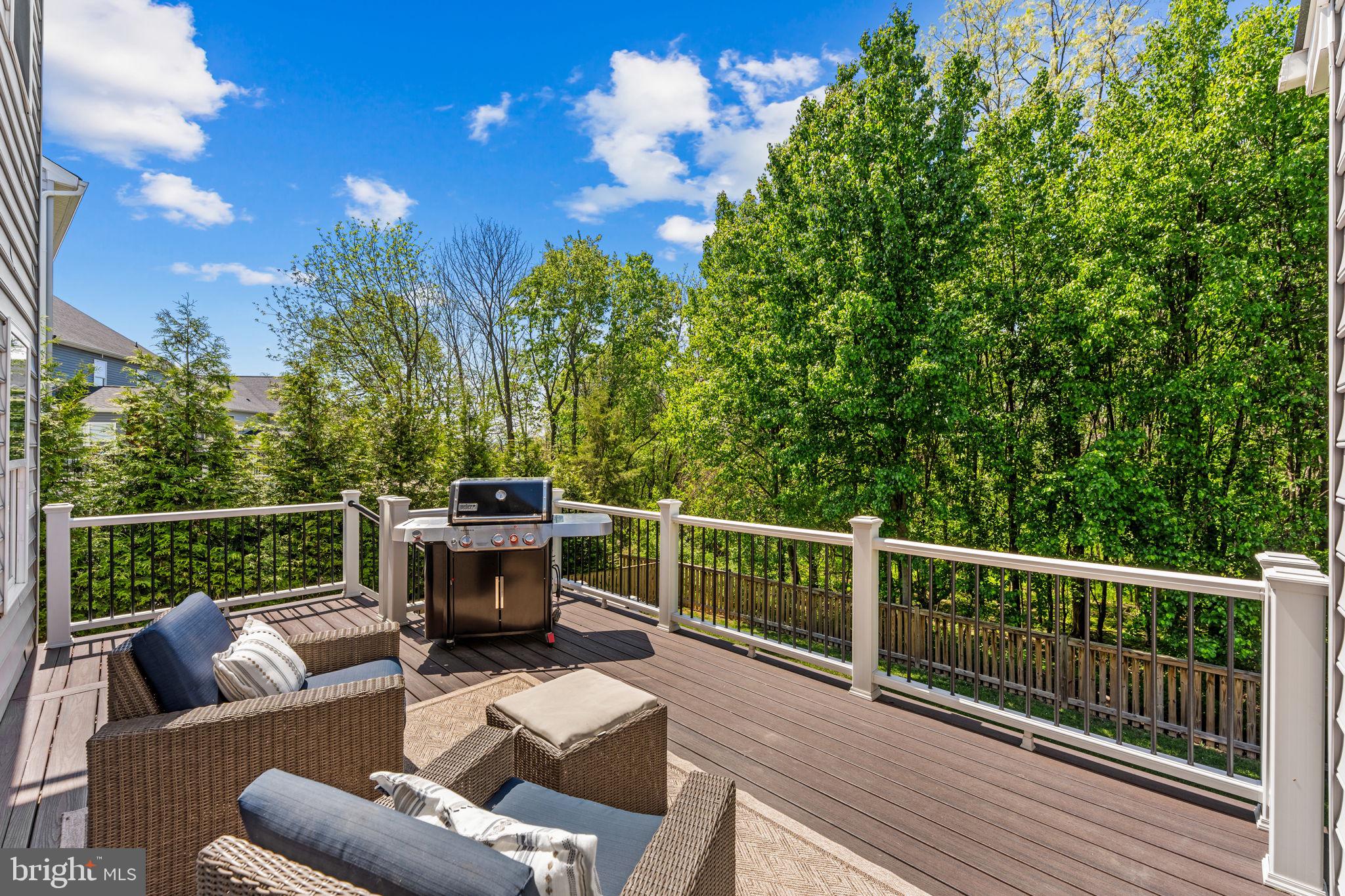 LOVETTSVILLE TOWN CENTER - Residential