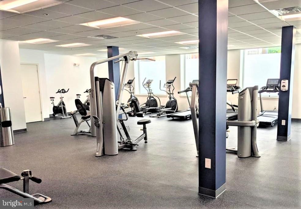 ROXBOROUGH - Residential Lease