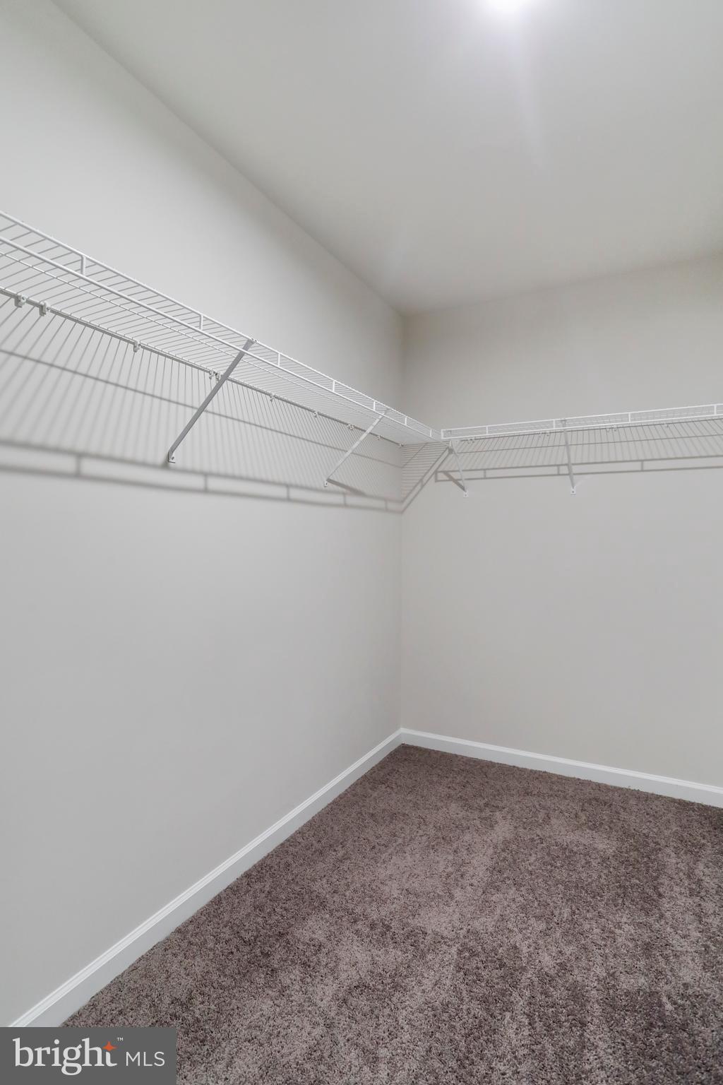 CARDINAL POINTE - Residential