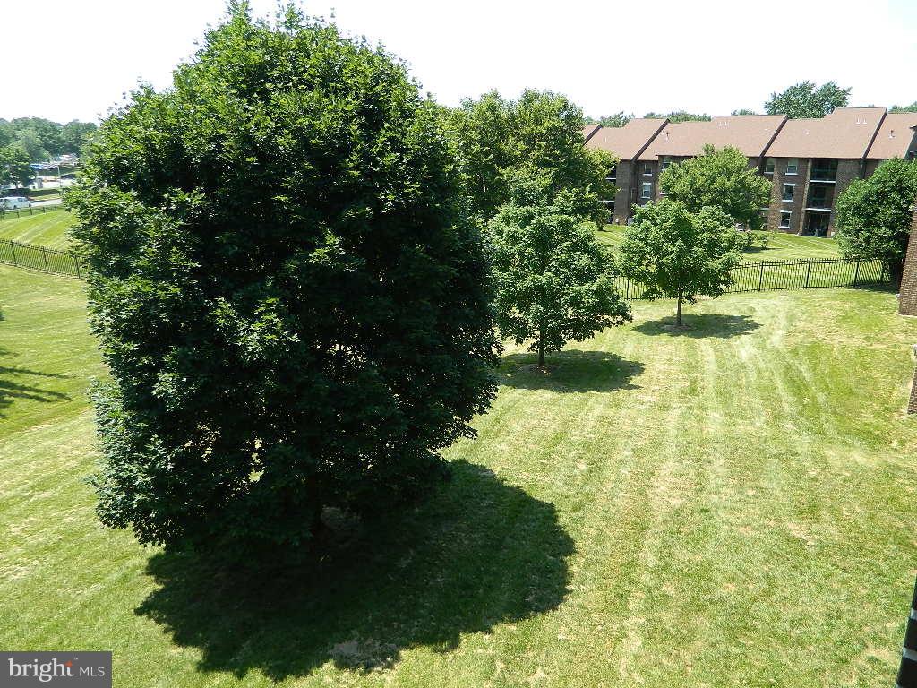 SUMMER RIDGE CODM - Residential Lease