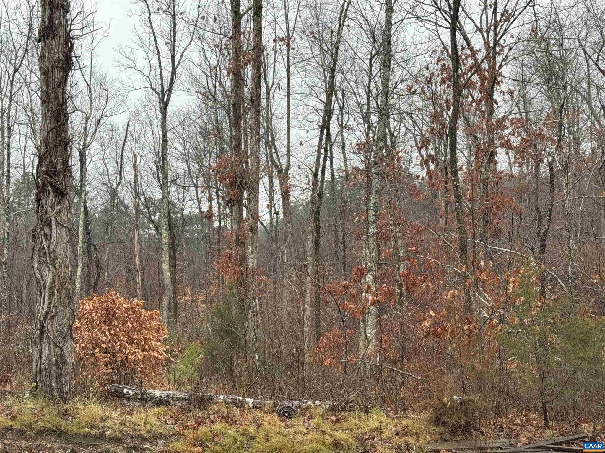 NONE AVAILABLE - Land