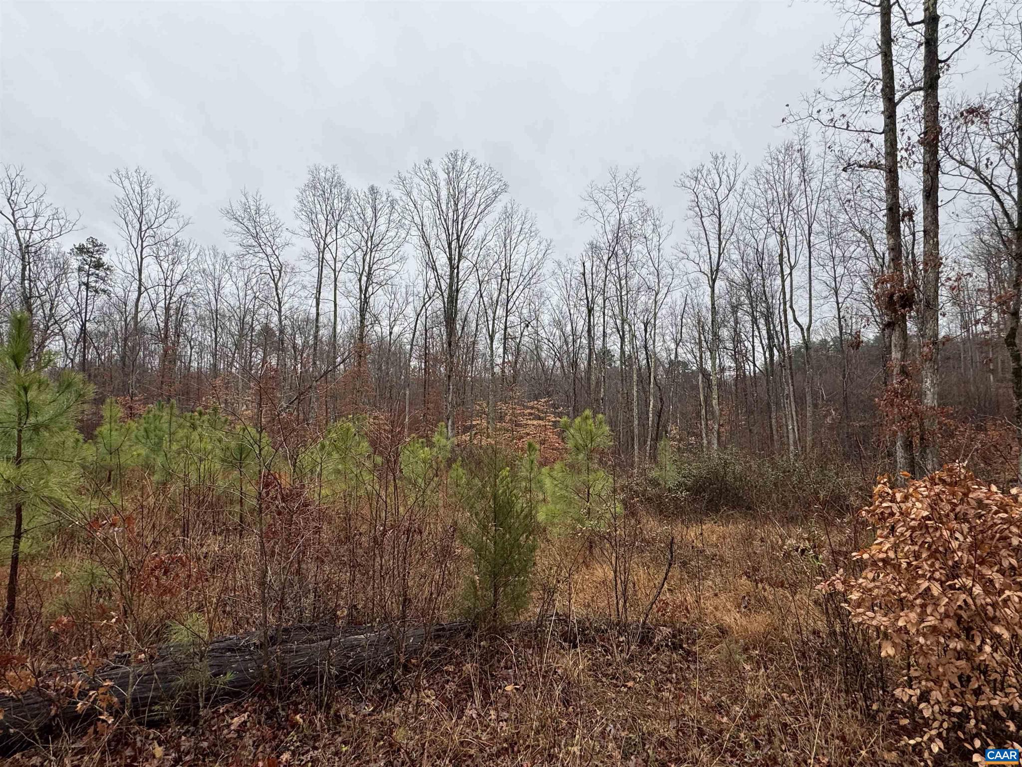 NONE AVAILABLE - Land