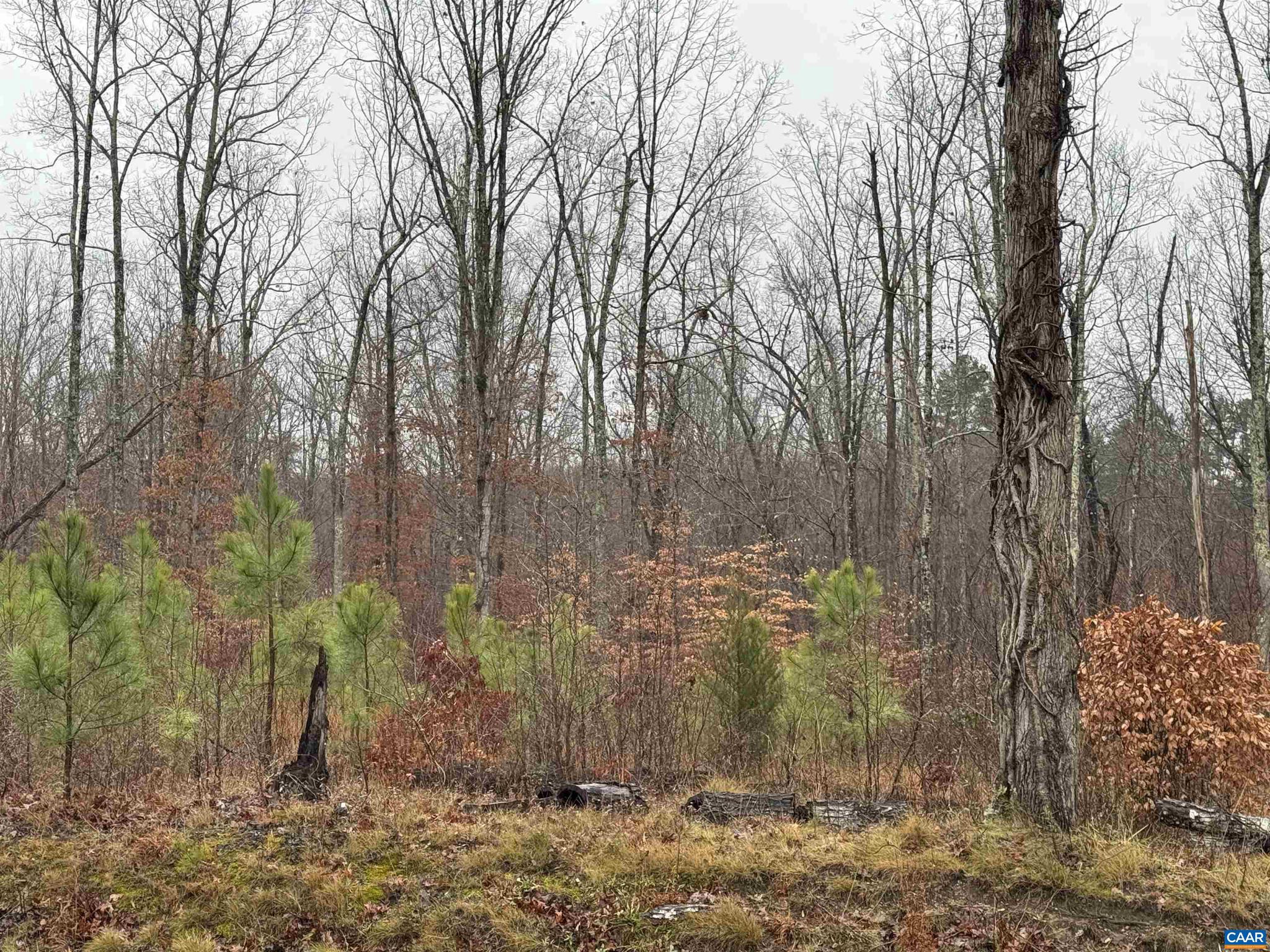 NONE AVAILABLE - Land