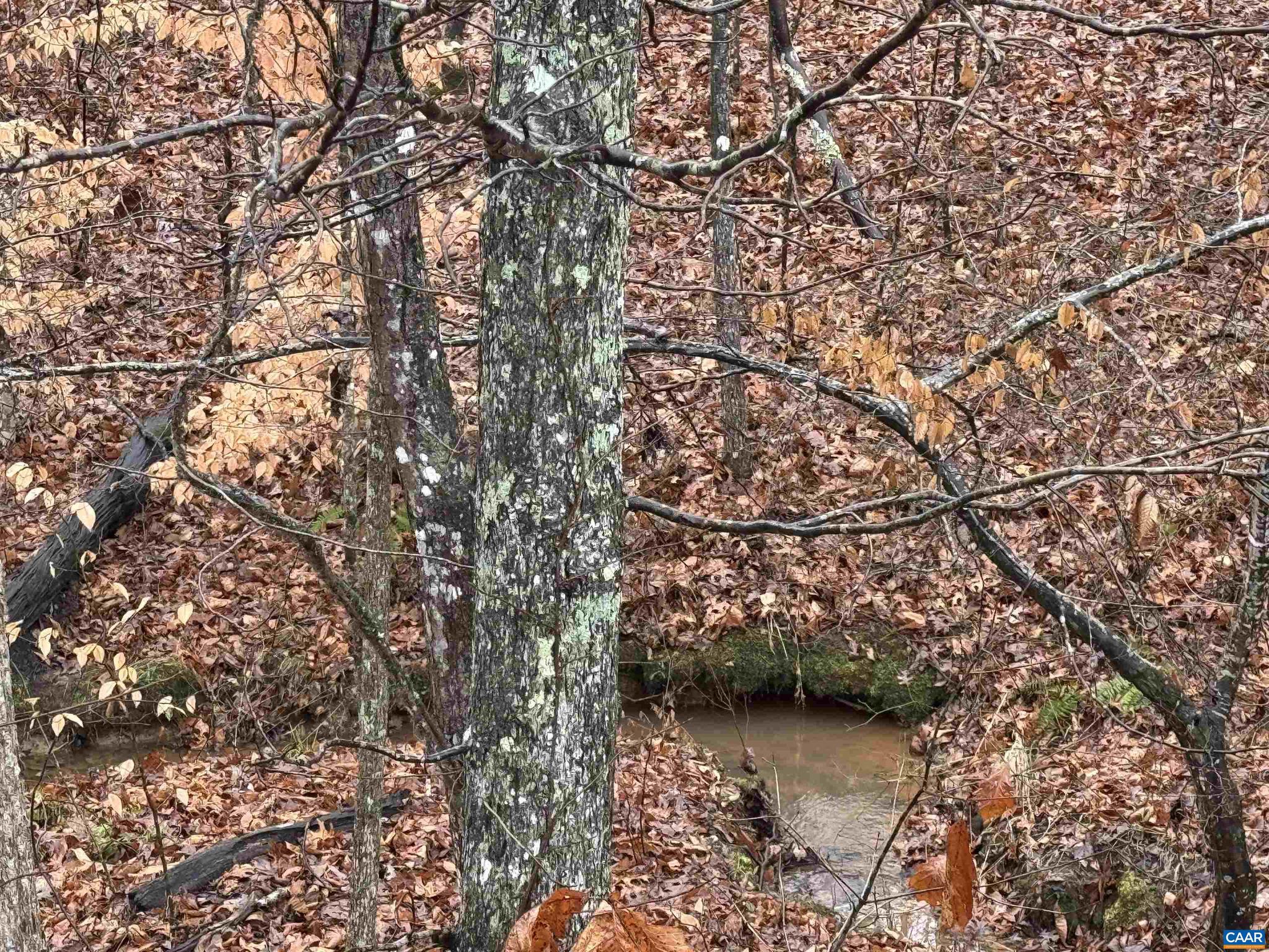 NONE AVAILABLE - Land