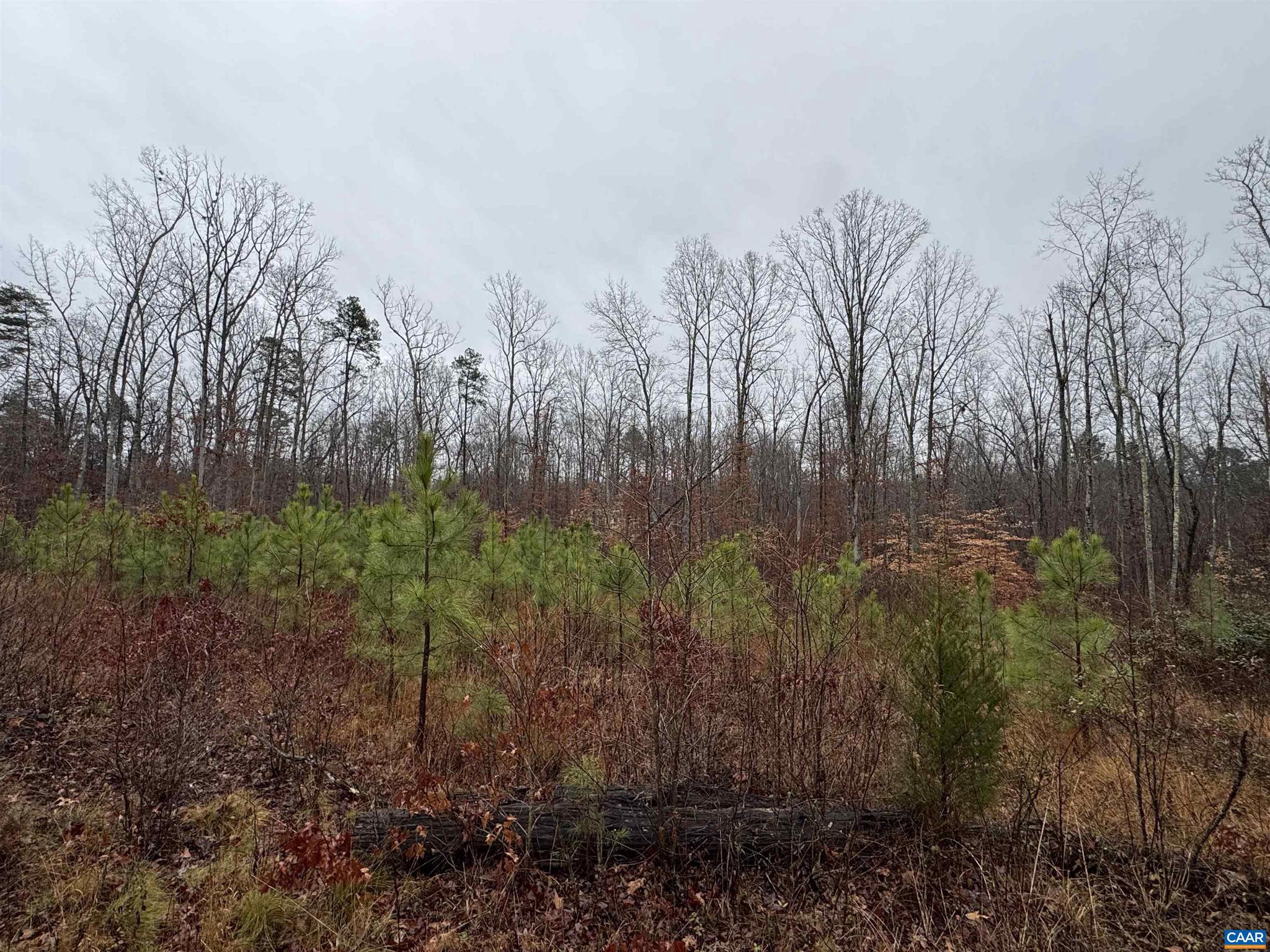 NONE AVAILABLE - Land