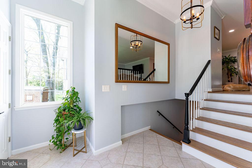 LINCOLNIA PARK - Residential