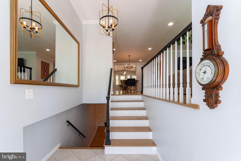 LINCOLNIA PARK - Residential