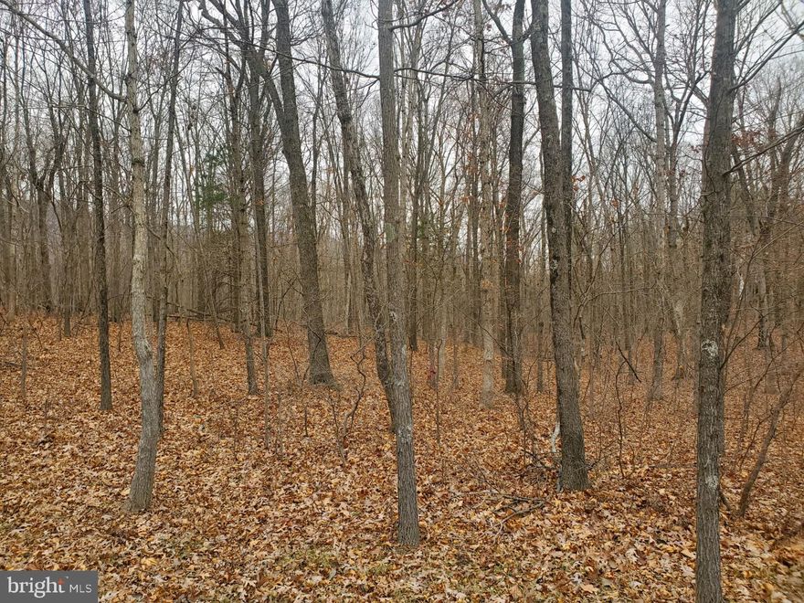 Beautiful 16+ acre lot with mountain views.  No HOA, covenants or restrictions!  Wooded and mostly level lot which is not on the side of a mountain!  Beautiful mountain views across the street at the front of the property.  This is raw land with hardwood, oaks and a small patch of pines towards the back of the property.  There is a dry creek that runs through when there is rain (see plat).  Approximately 150 feet of road frontage (see plat).  Road in front of house is gravel but it's only 200 yards to paved roads.  VDOT maintains the gravel road.  There is a County school bus stop nearby.  Electric is nearby.  Note that only Parcel B is for sale.  Parcel A (with house) is not for sale.  Close to town, shopping, restaurants, hiking, Shenandoah River, and commuting routes.