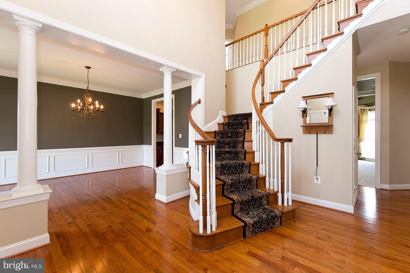 MORLYN HILLS AT MEADOW BRANCH - Residential