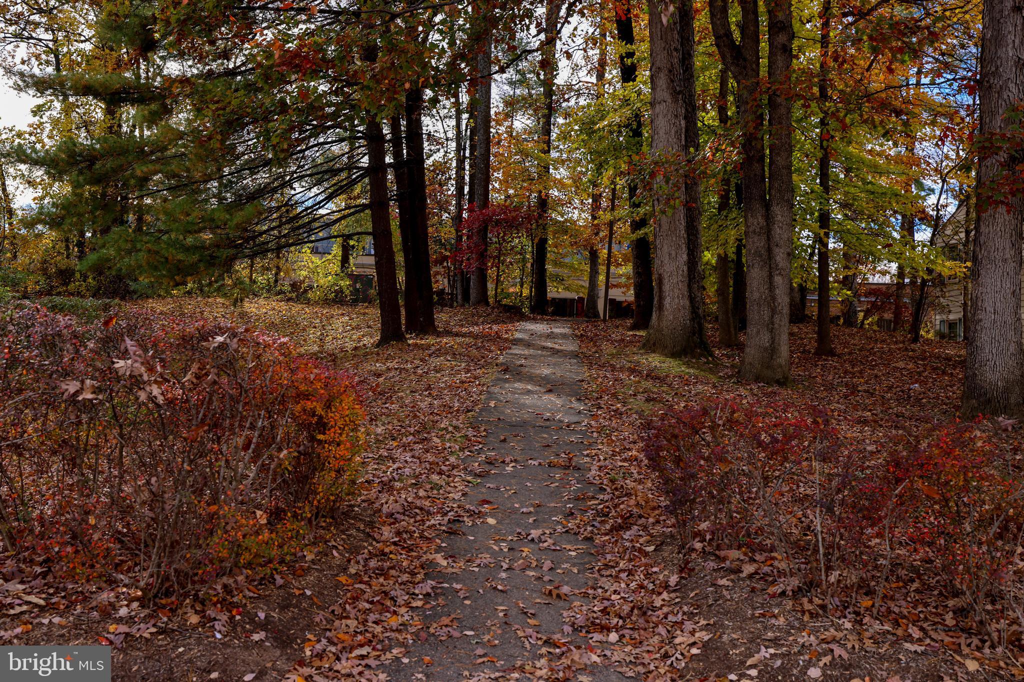 OLD MILL COMMUNITY - Residential