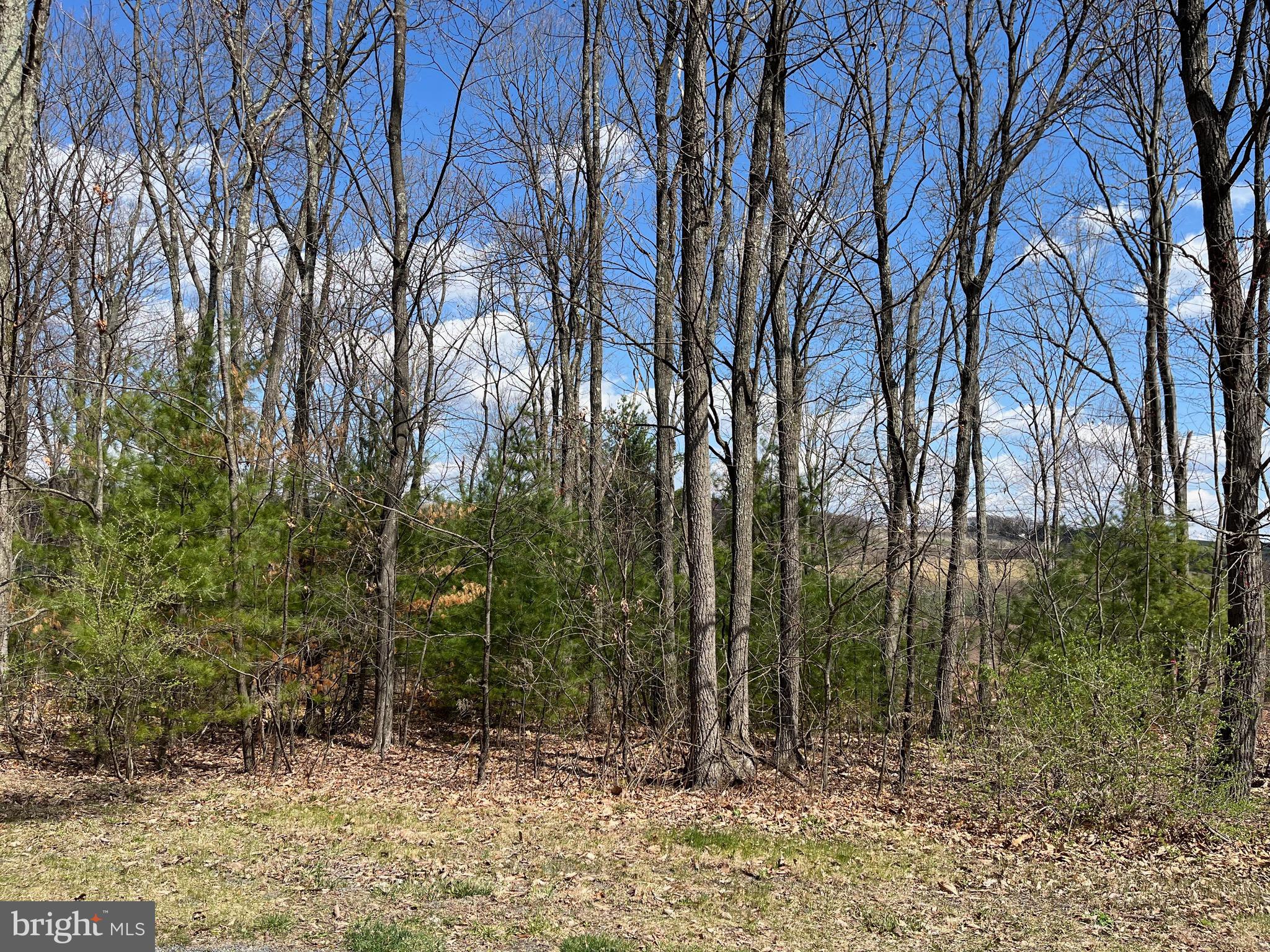 Now is the time to grab one of the few lots left in the highly desired West Penn Township Timber Ridge development! Super easy access to Rt. 309 and the Lehigh Valley. This lot offers sparse woods, with a generous cleared area lending itself to gorgeous valley views. Use any builder. Perc approved for elevated sand mound, just needs to be renewed. This one can be yours today!
