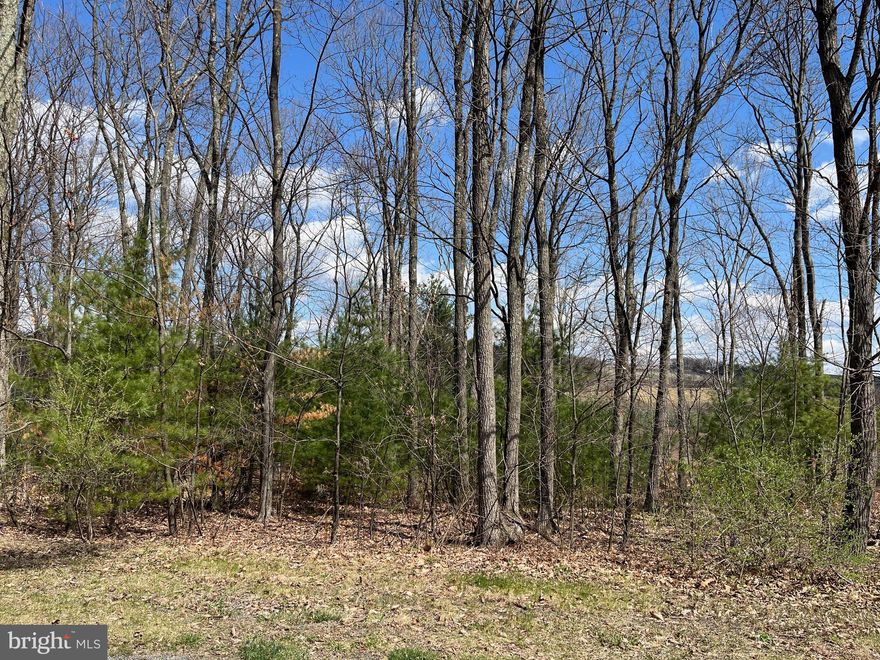 Now is the time to grab one of the few lots left in the highly desired West Penn Township Timber Ridge development! Super easy access to Rt. 309 and the Lehigh Valley.  This lot offers sparse woods, with a generous cleared area lending itself to  gorgeous valley views. Use any builder.  Perc approved for elevated sand mound, just needs to be renewed.  This one can be yours today!