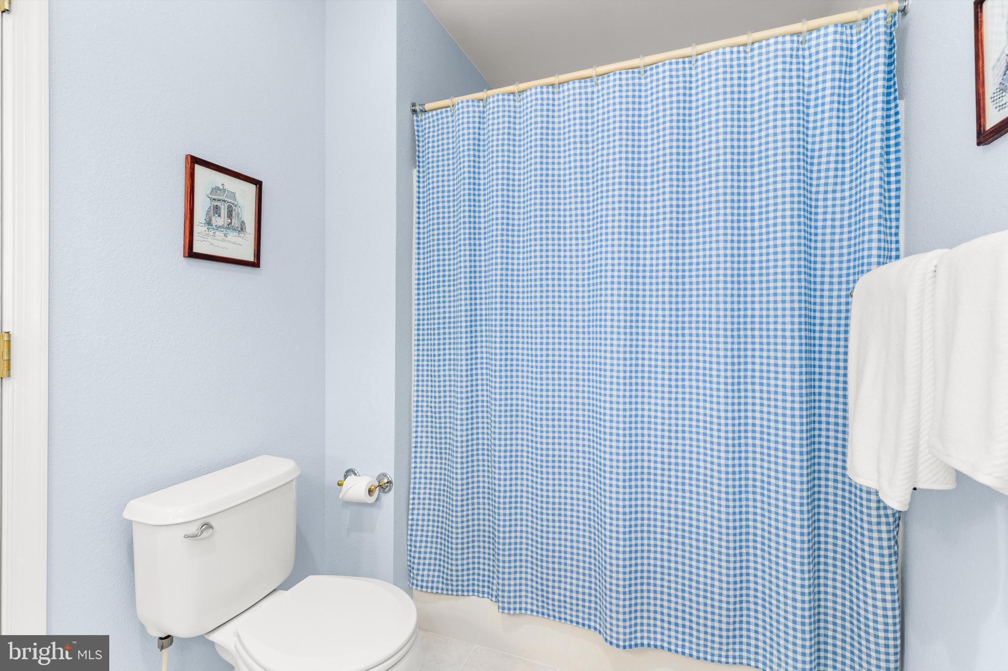 BEAR TRAP - Residential